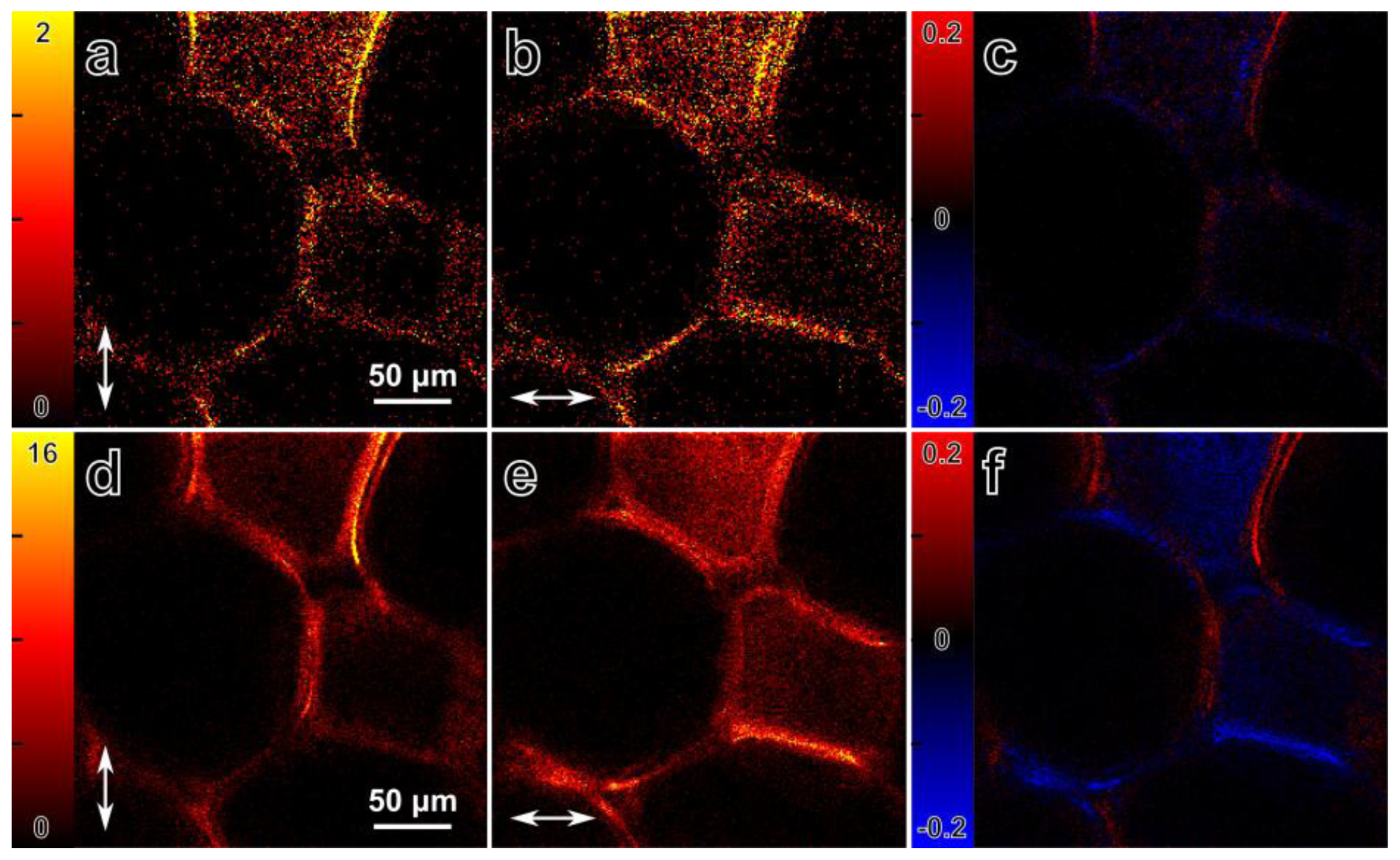 Ijms 14 18520f8 1024