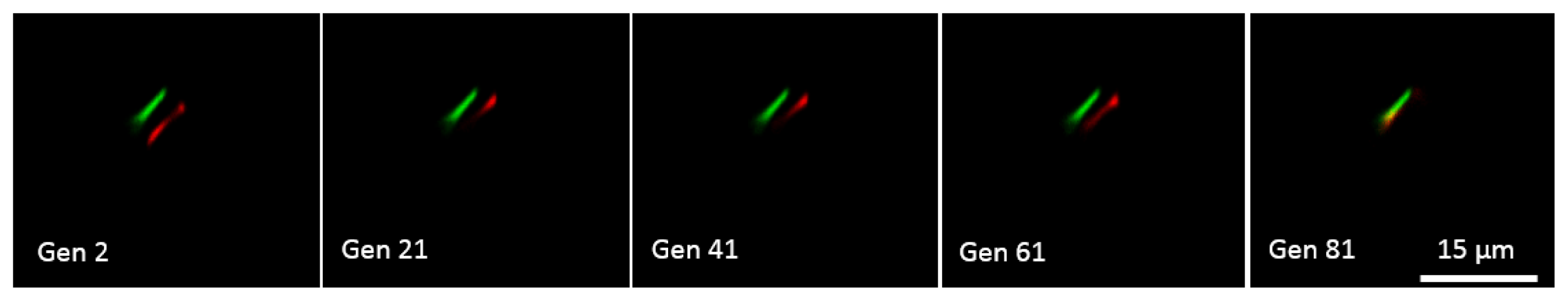 Ijms 14 18520f9 1024