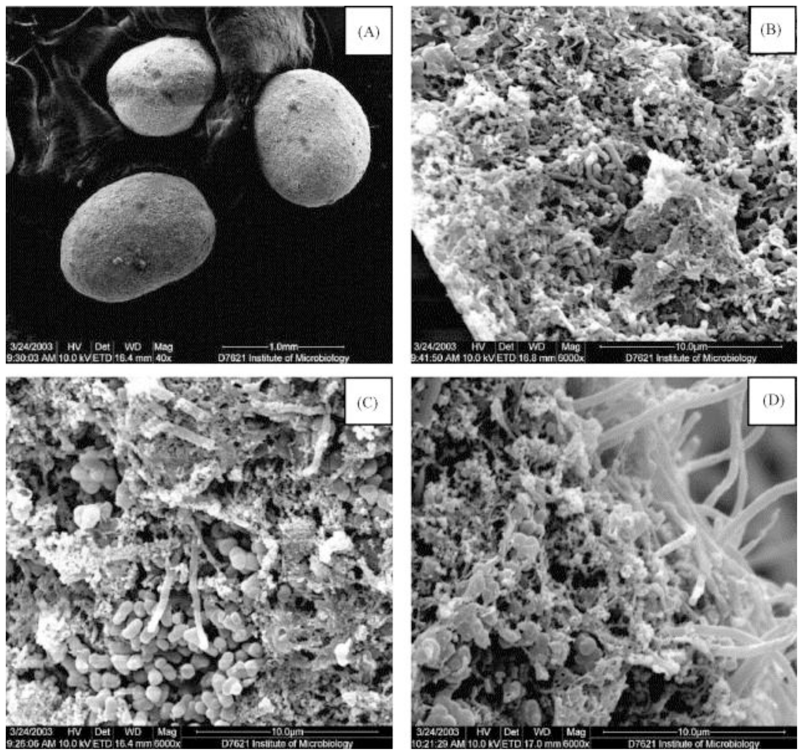 Ijms 14 18572f1 1024