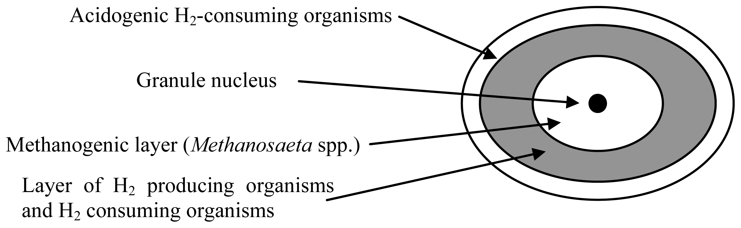 Ijms 14 18572f2 1024