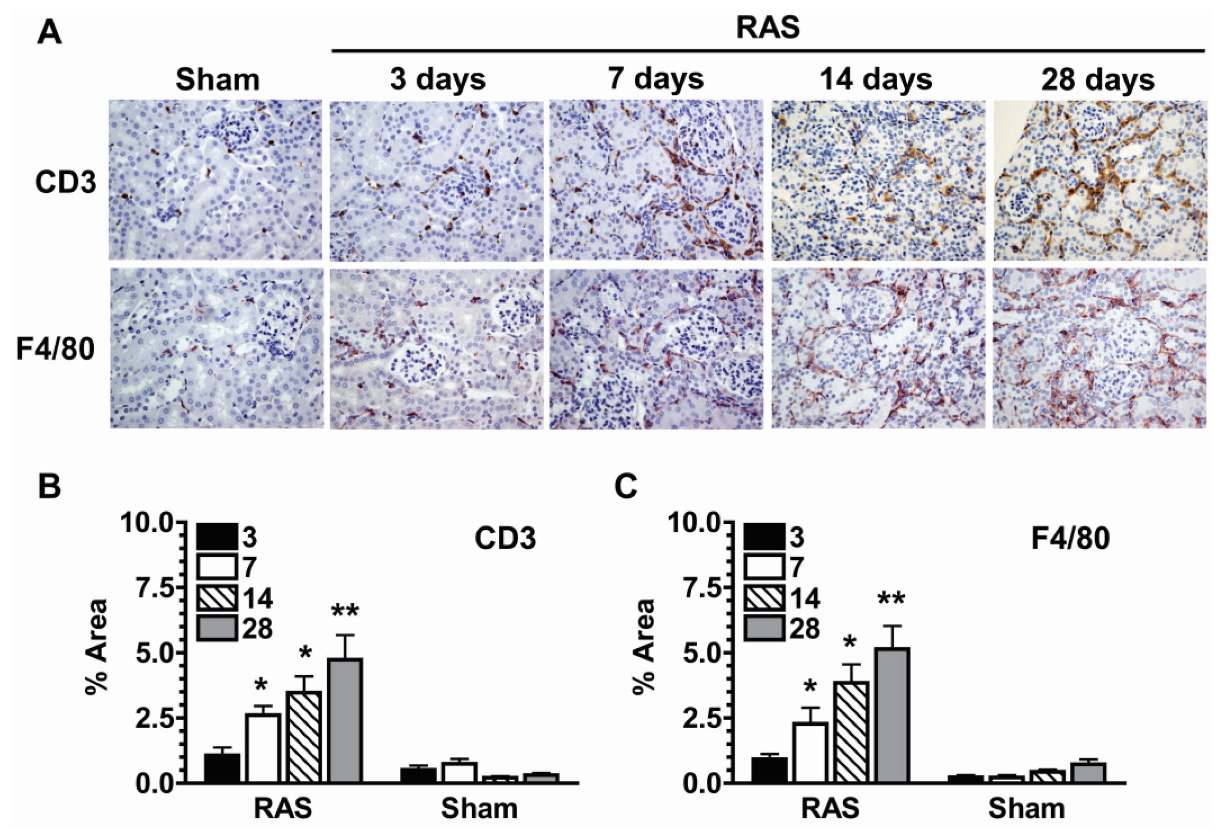 Ijms 14 18640f4 1024