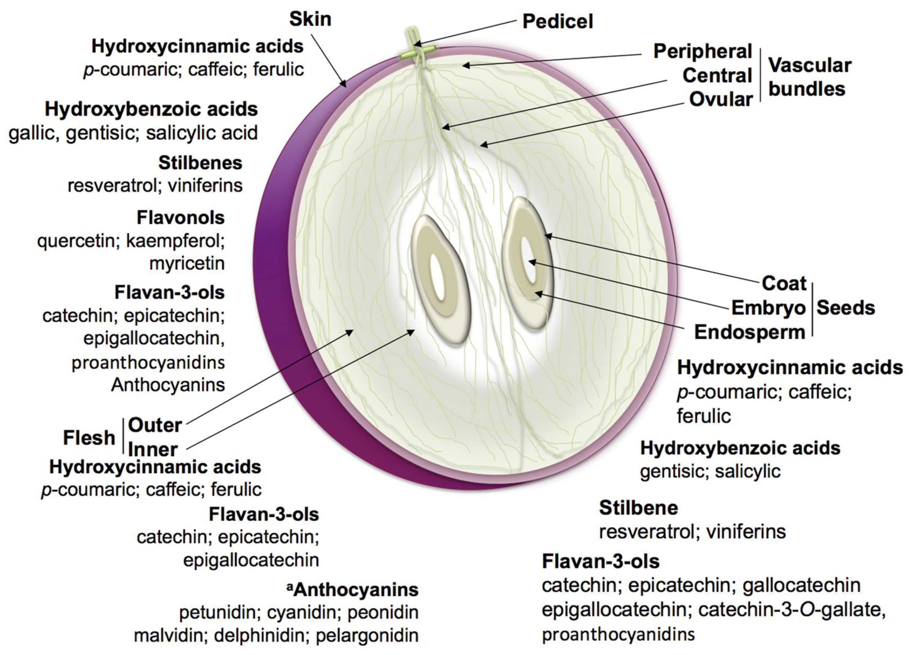 Causas de no ovular