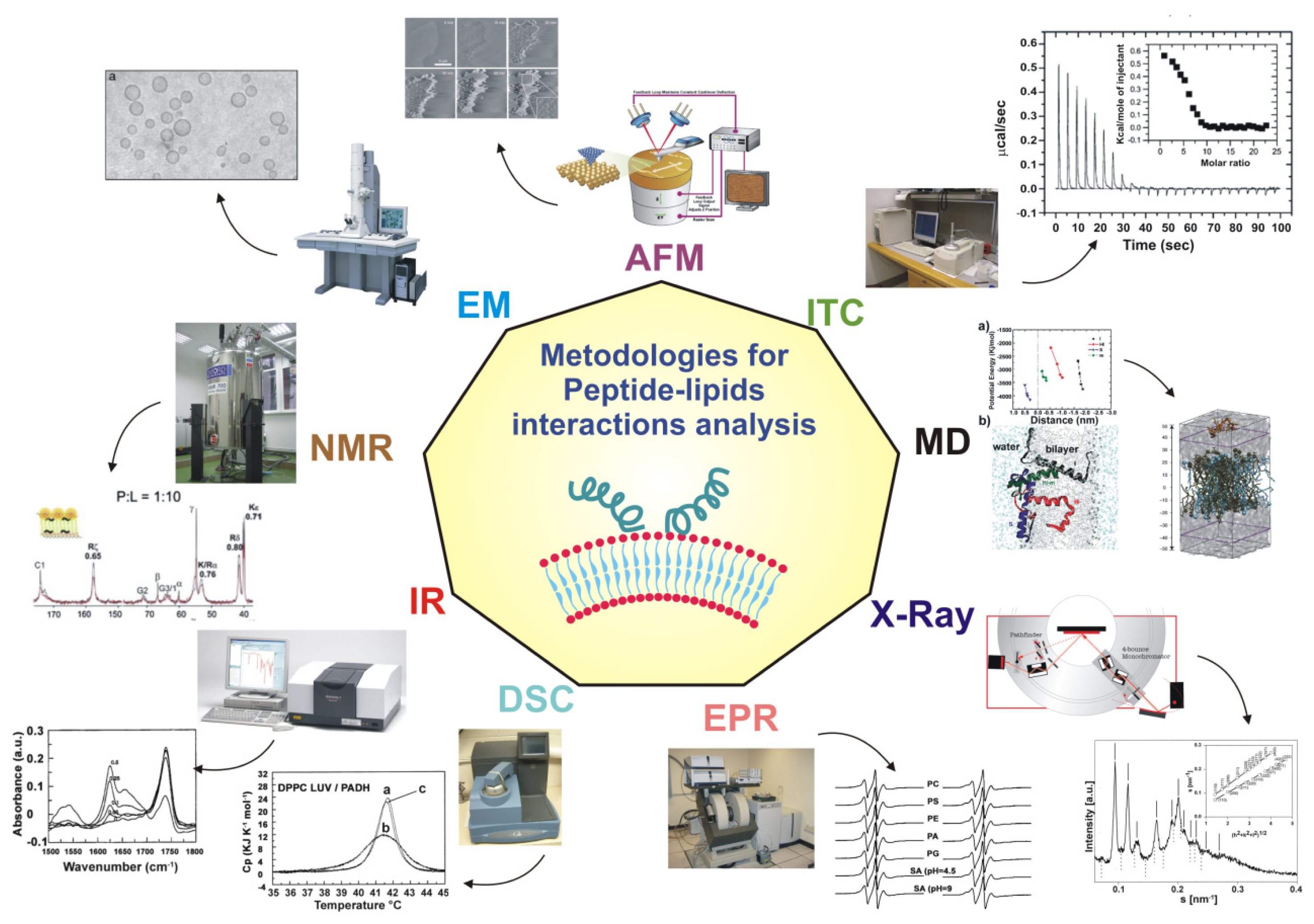 Ijms 14 18758f1 1024