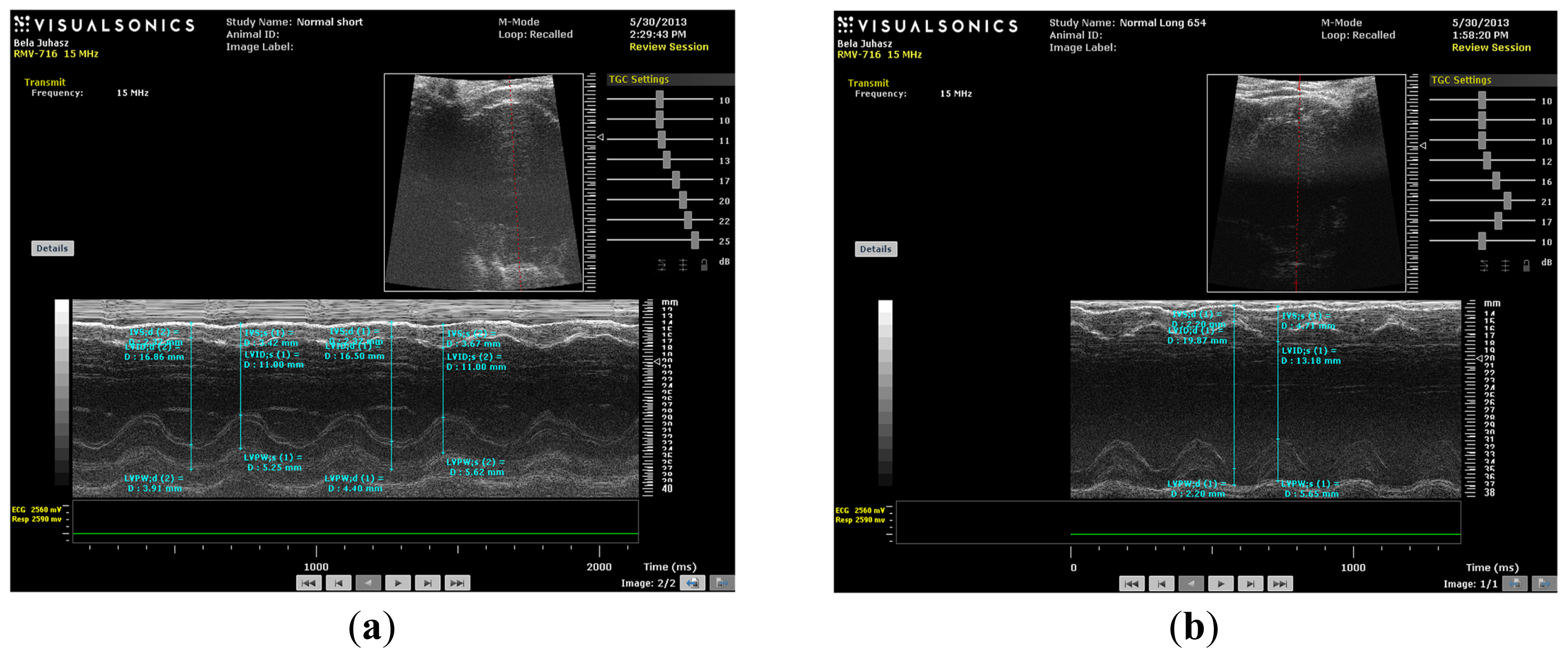 Ijms 14 19086f5a 1024