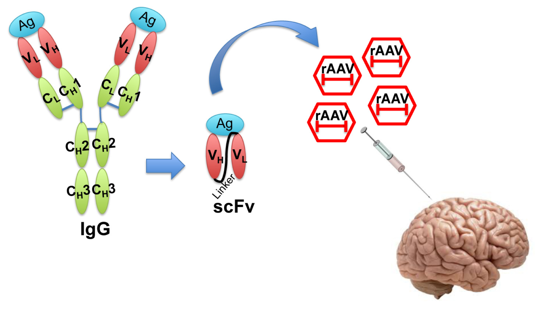 Ijms 14 19109f2 1024