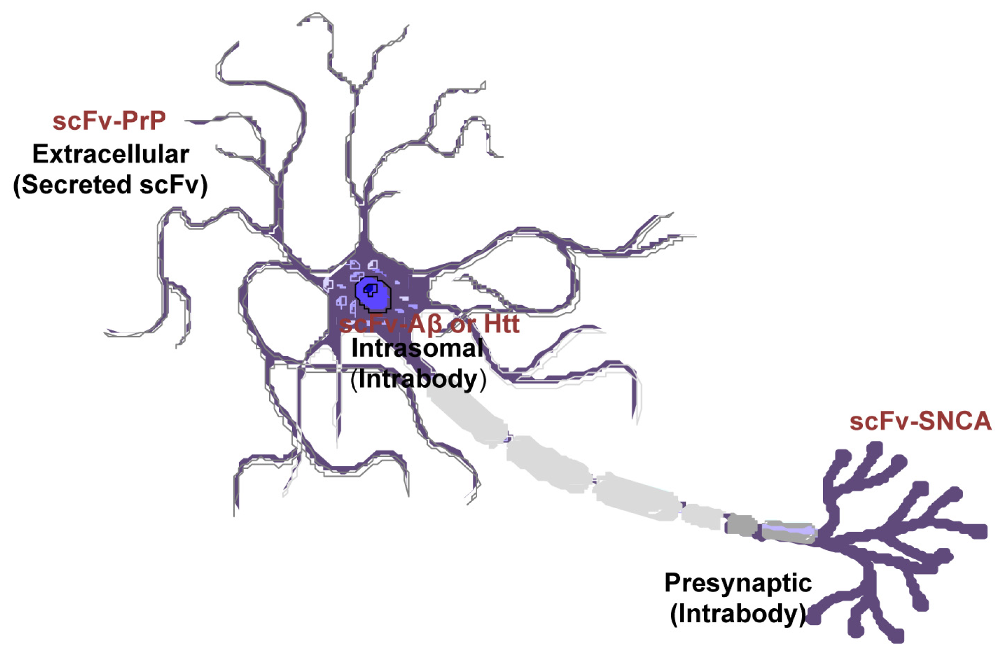 Ijms 14 19109f5 1024