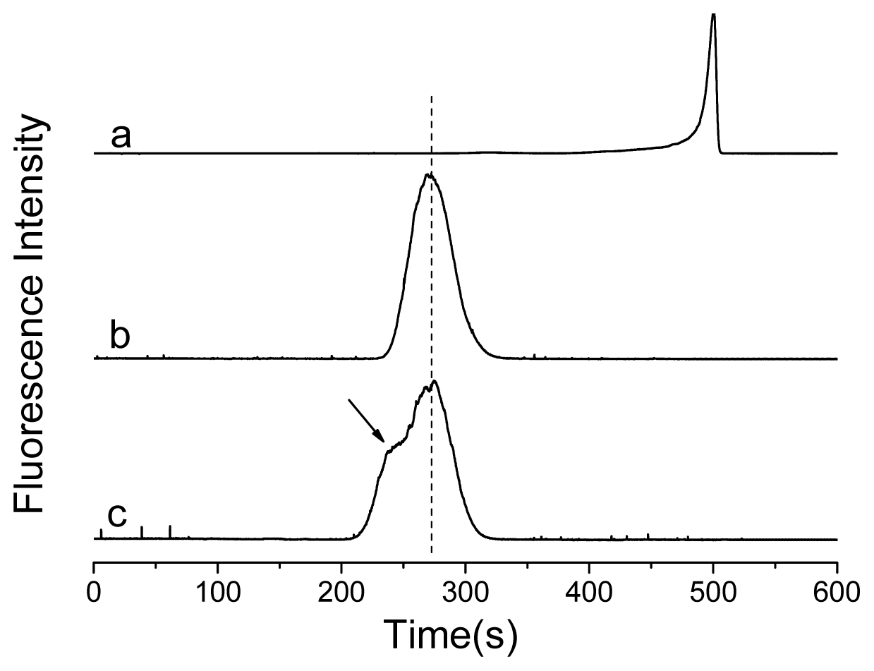 Ijms 14 19146f1 1024