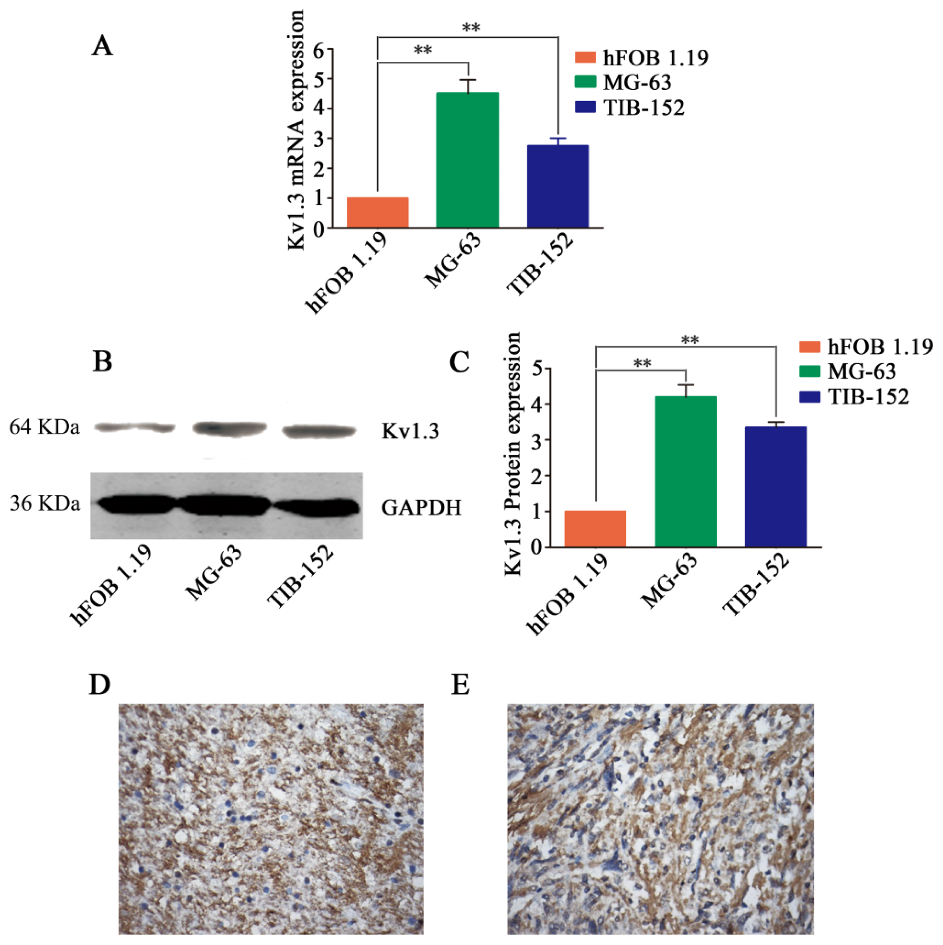 Ijms 14 19245f1 1024