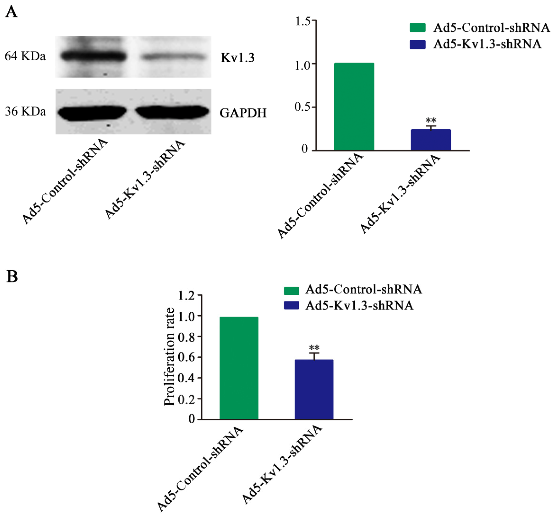 Ijms 14 19245f2 1024