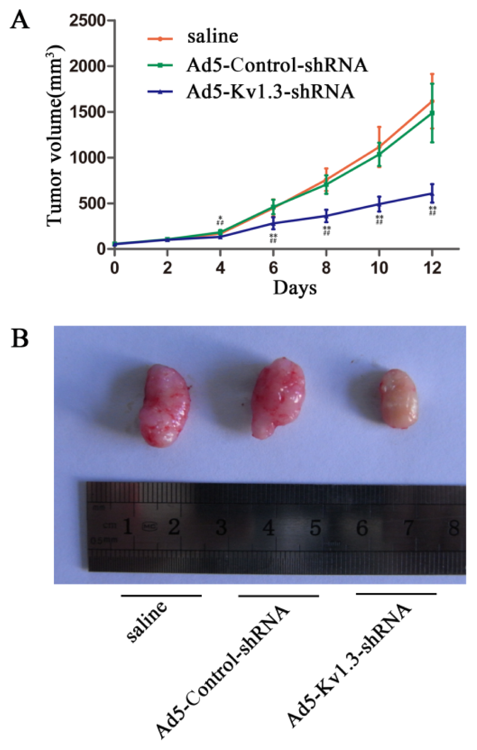 Ijms 14 19245f3 1024
