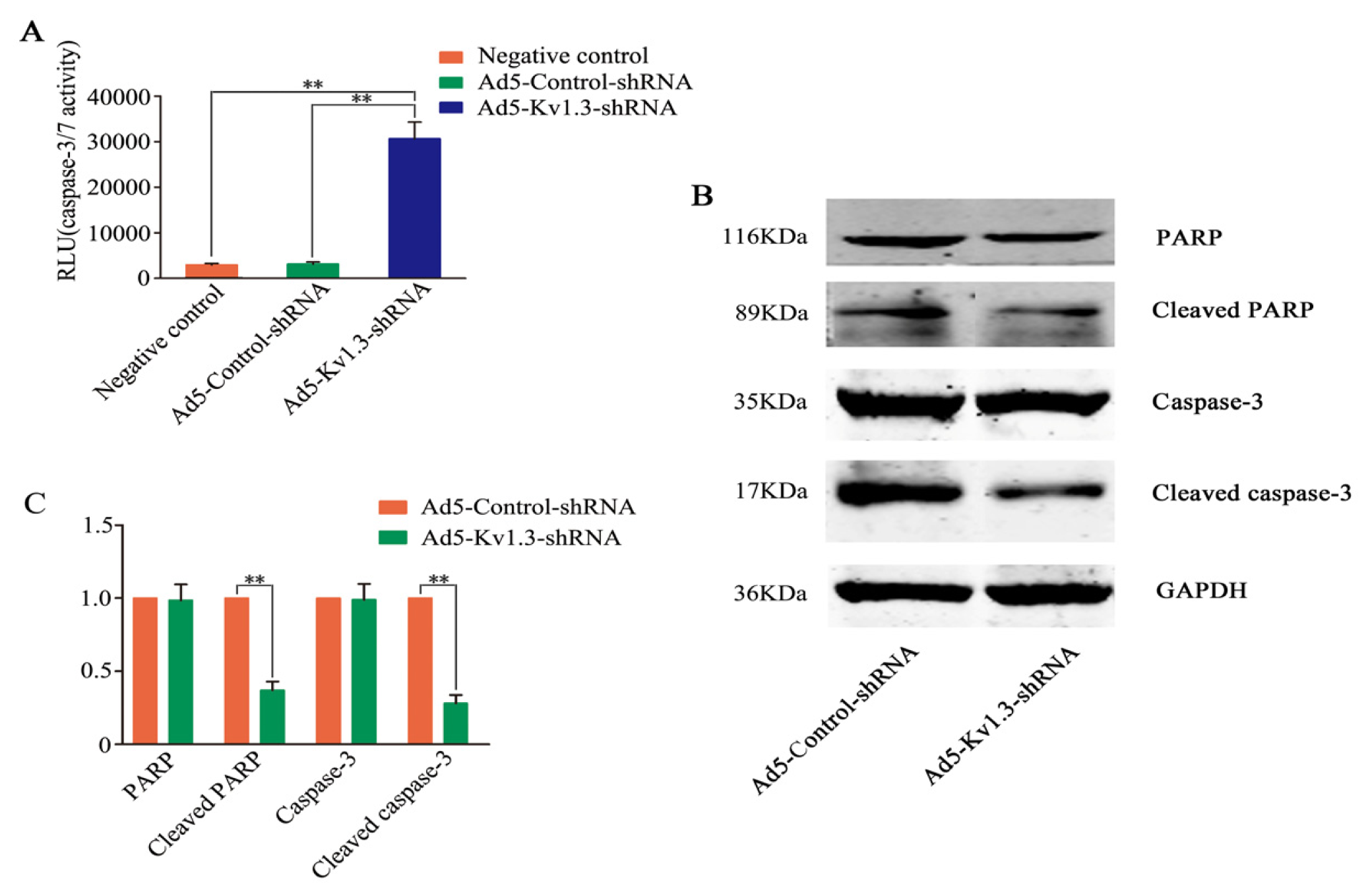 Ijms 14 19245f5 1024