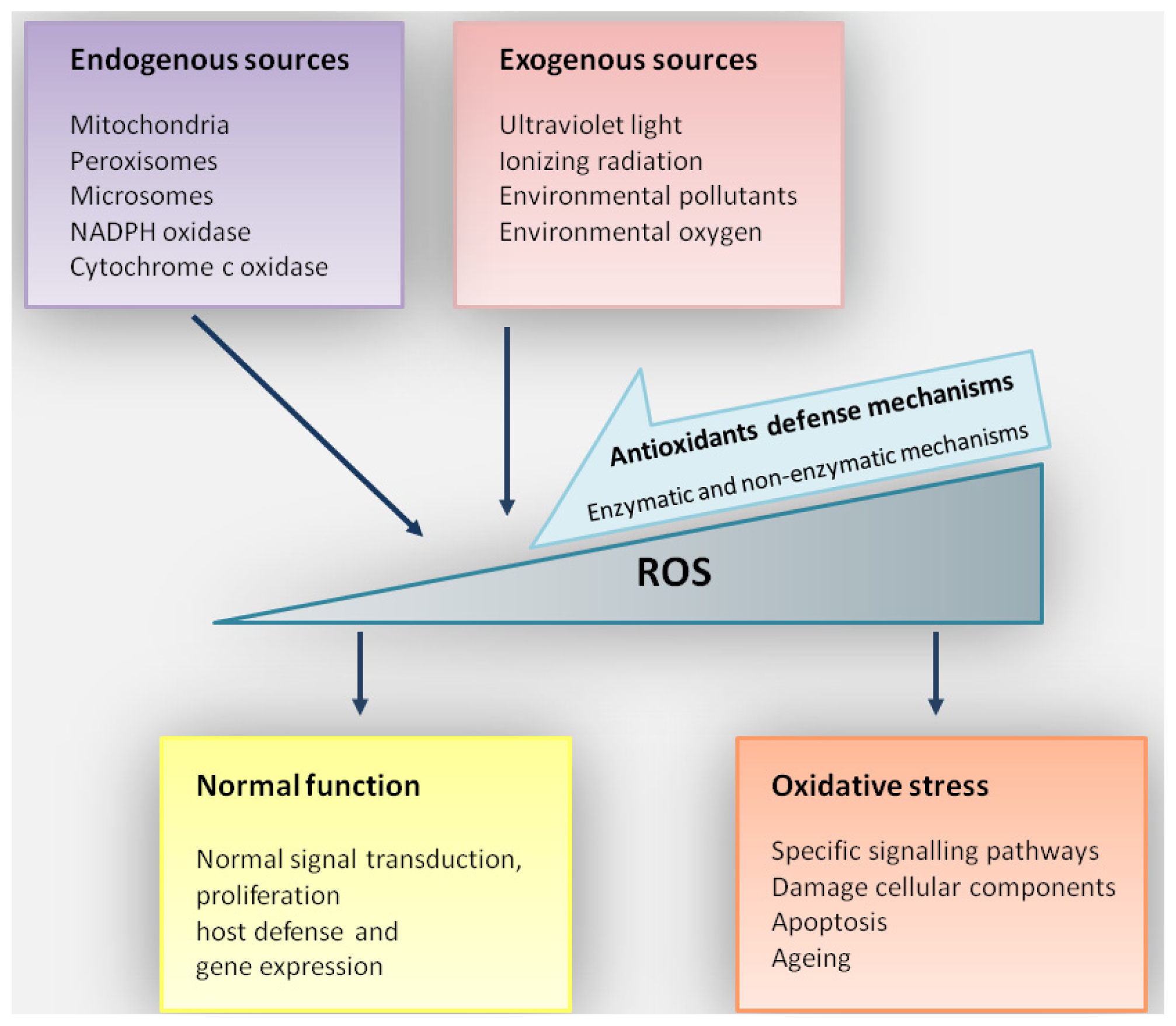 Ijms 14 19294f1 1024