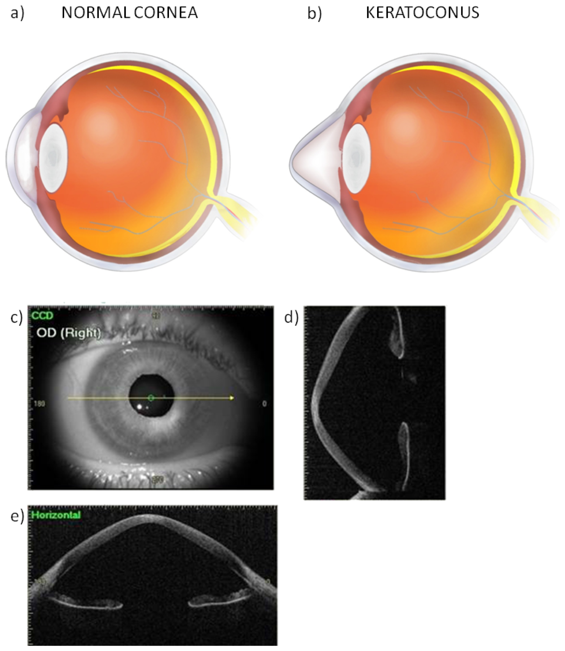 Ijms 14 19294f2 1024