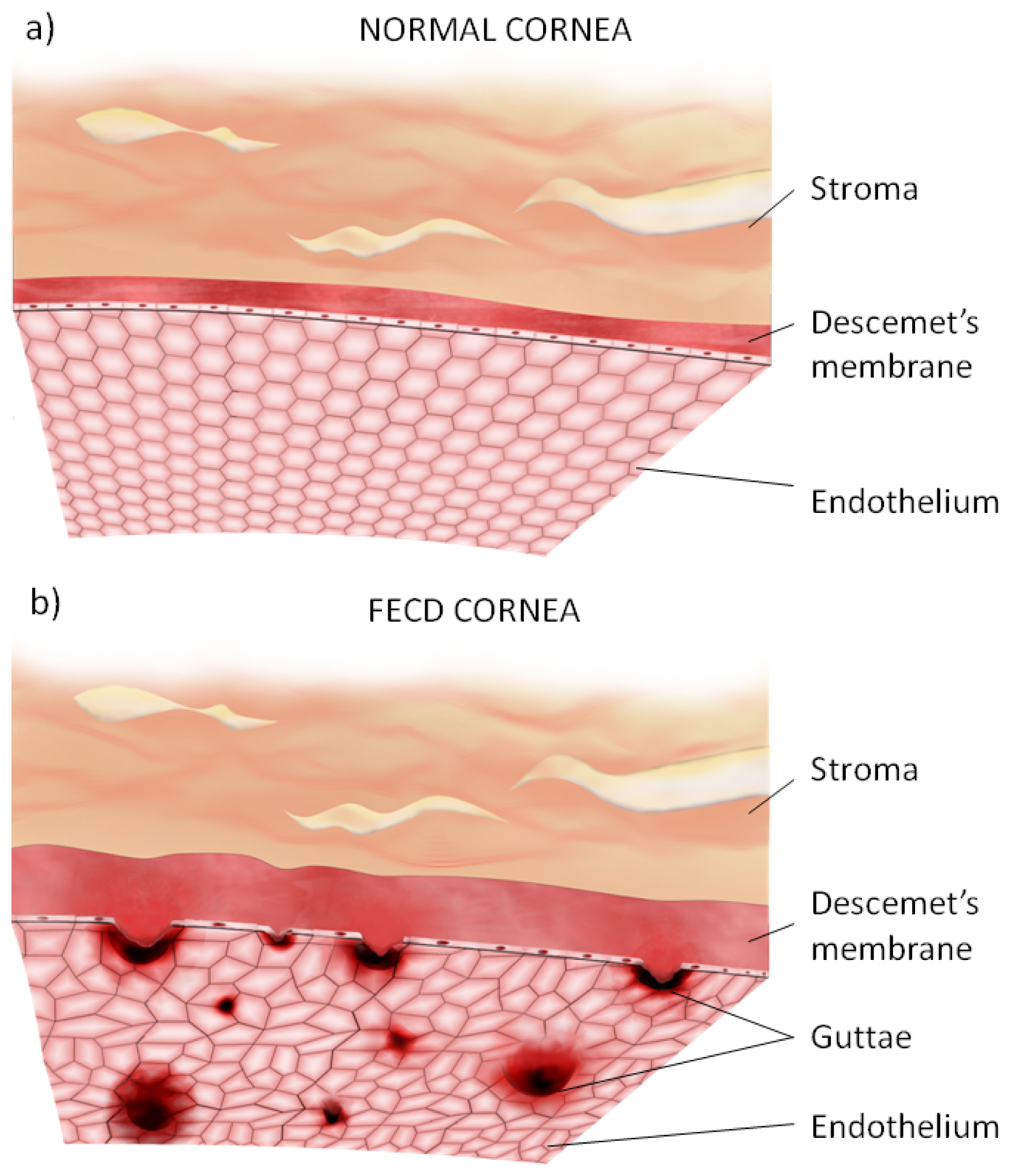 Ijms 14 19294f3a 1024