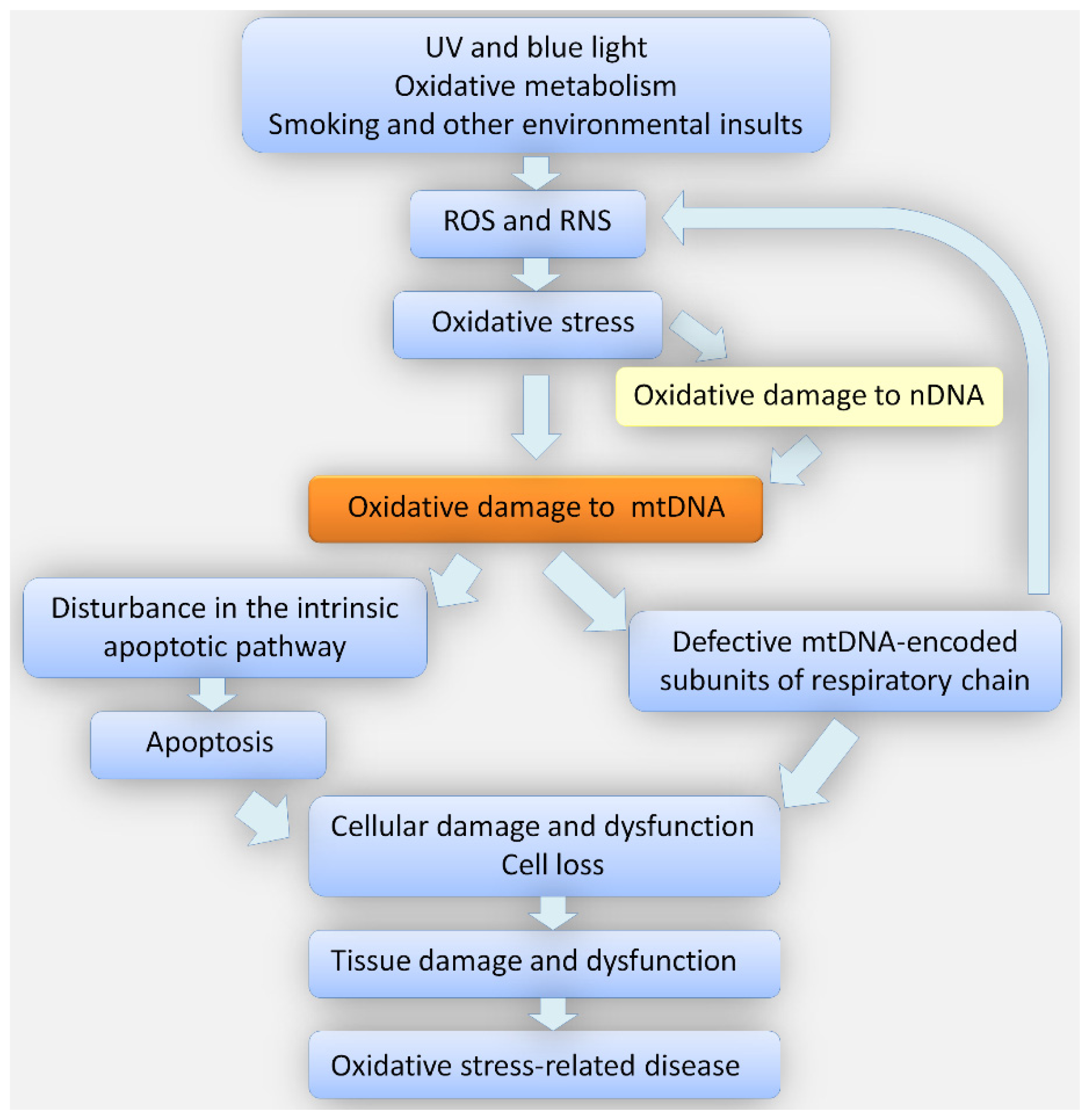 Ijms 14 19294f4 1024