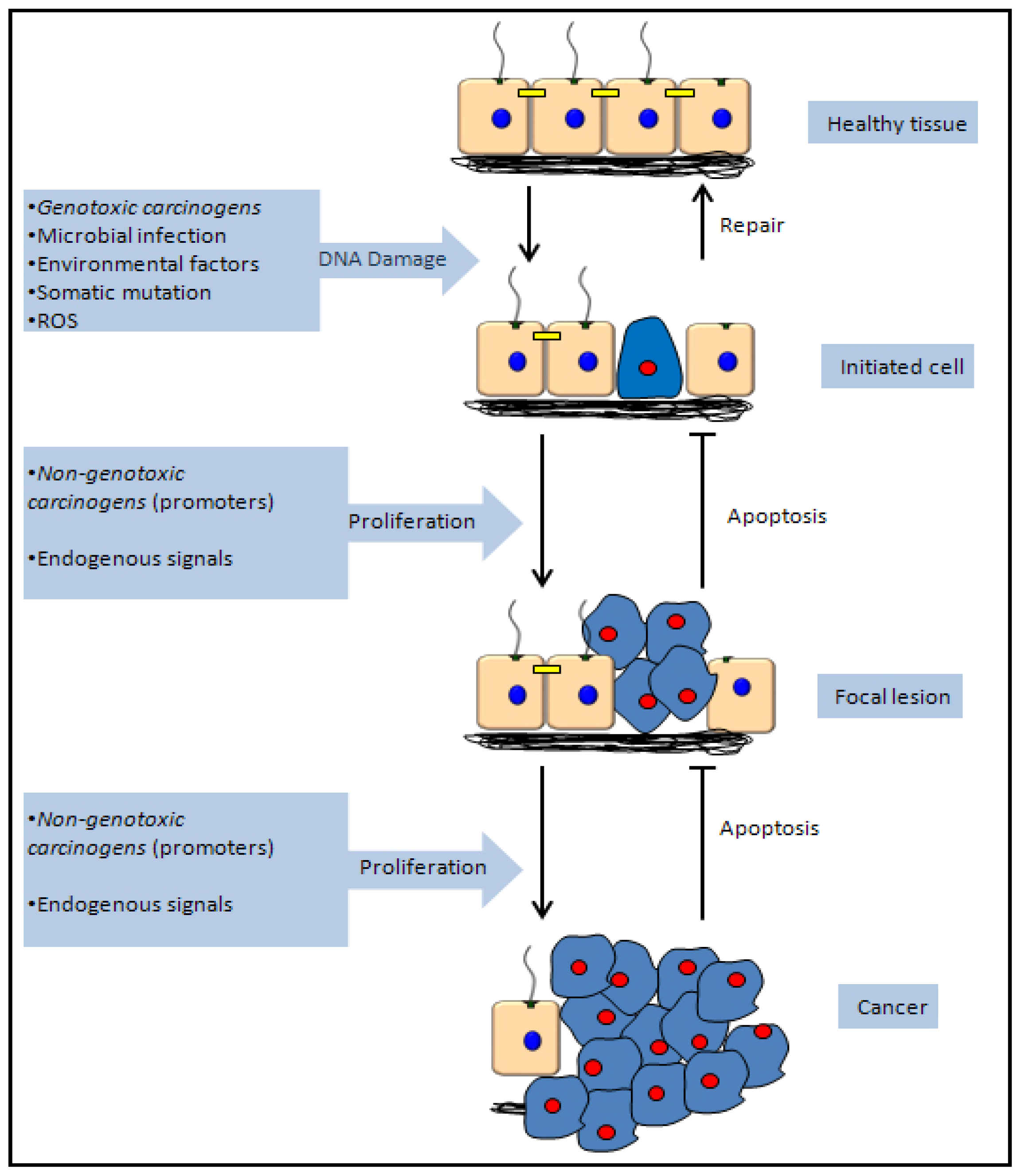 Ijms 14 19416f2 1024