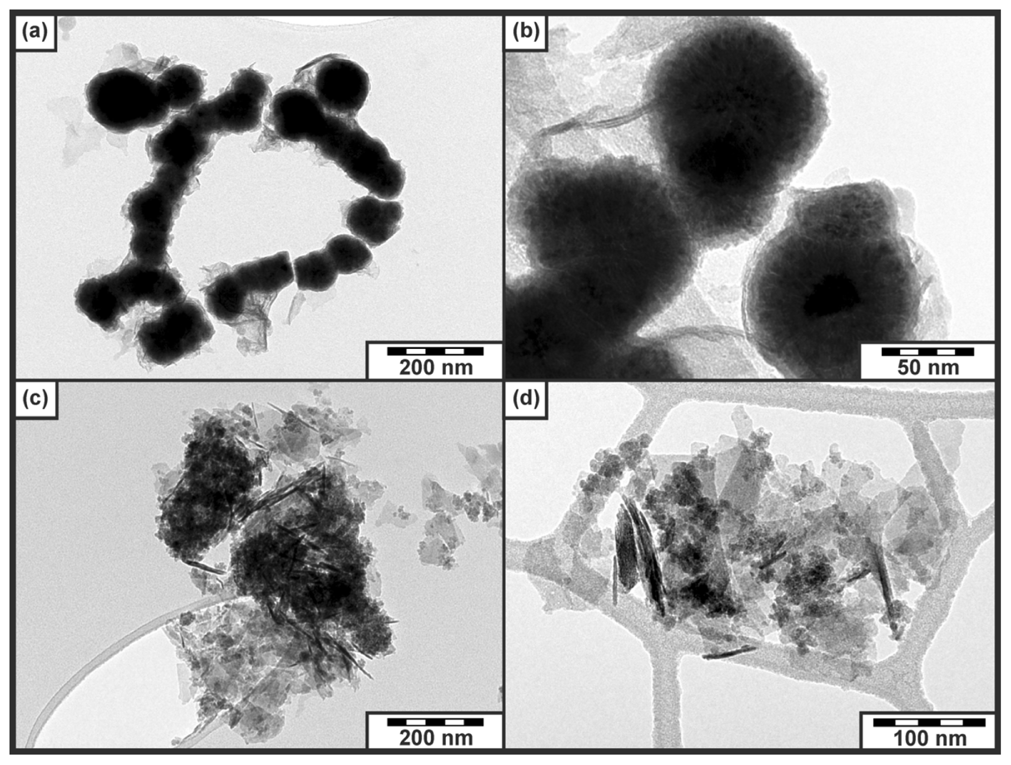 Ijms 14 19452f7 1024