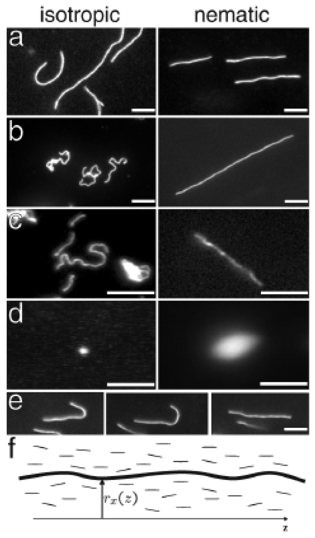 Ijms 14 19506f6