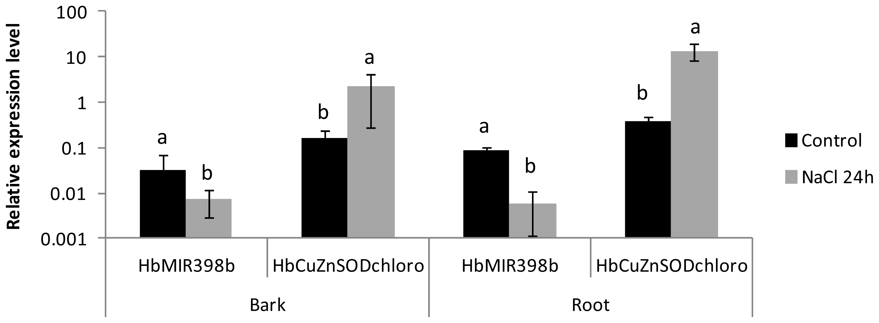Ijms 14 19587f3 1024