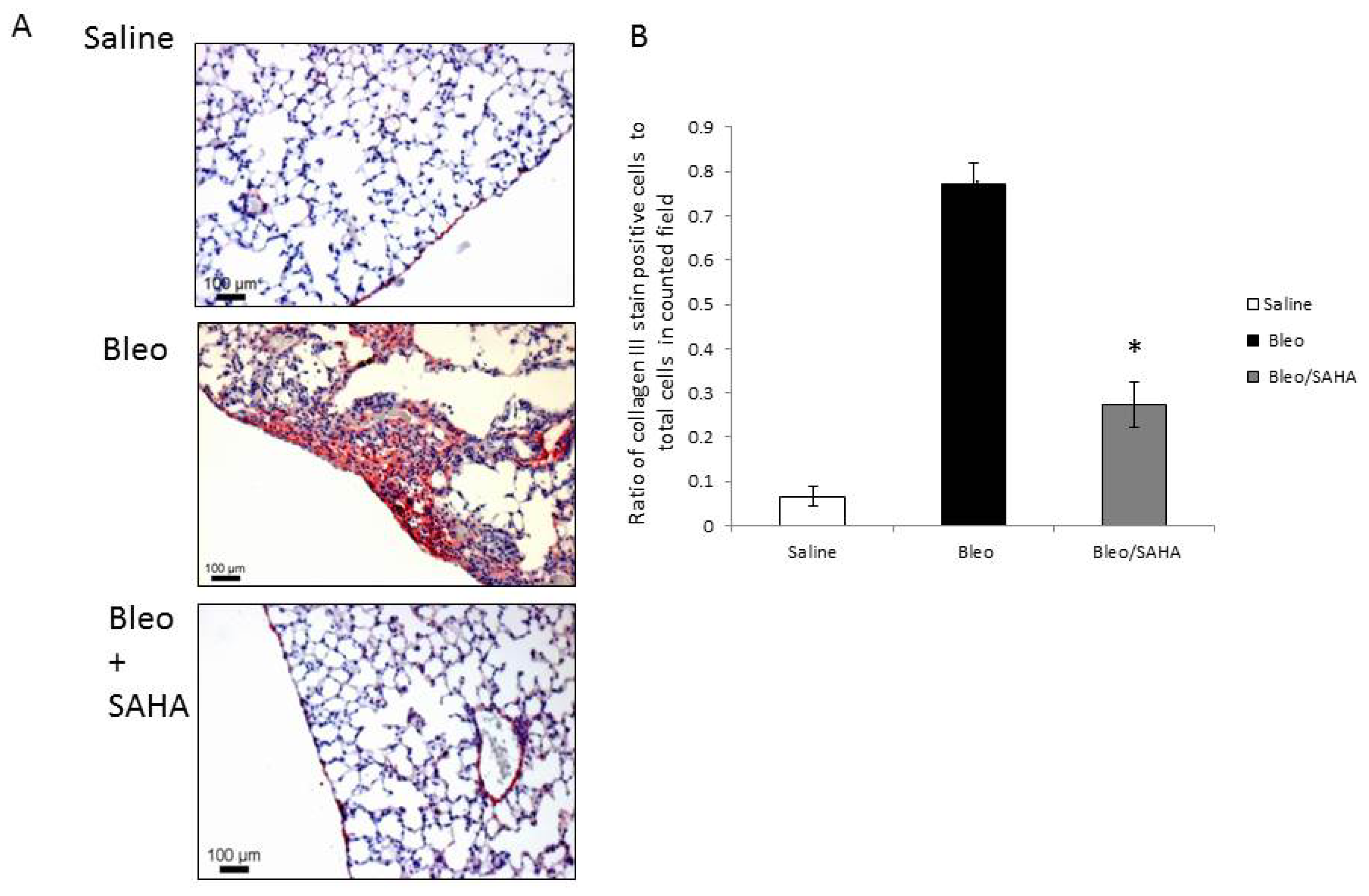 Ijms 14 19605f5 1024