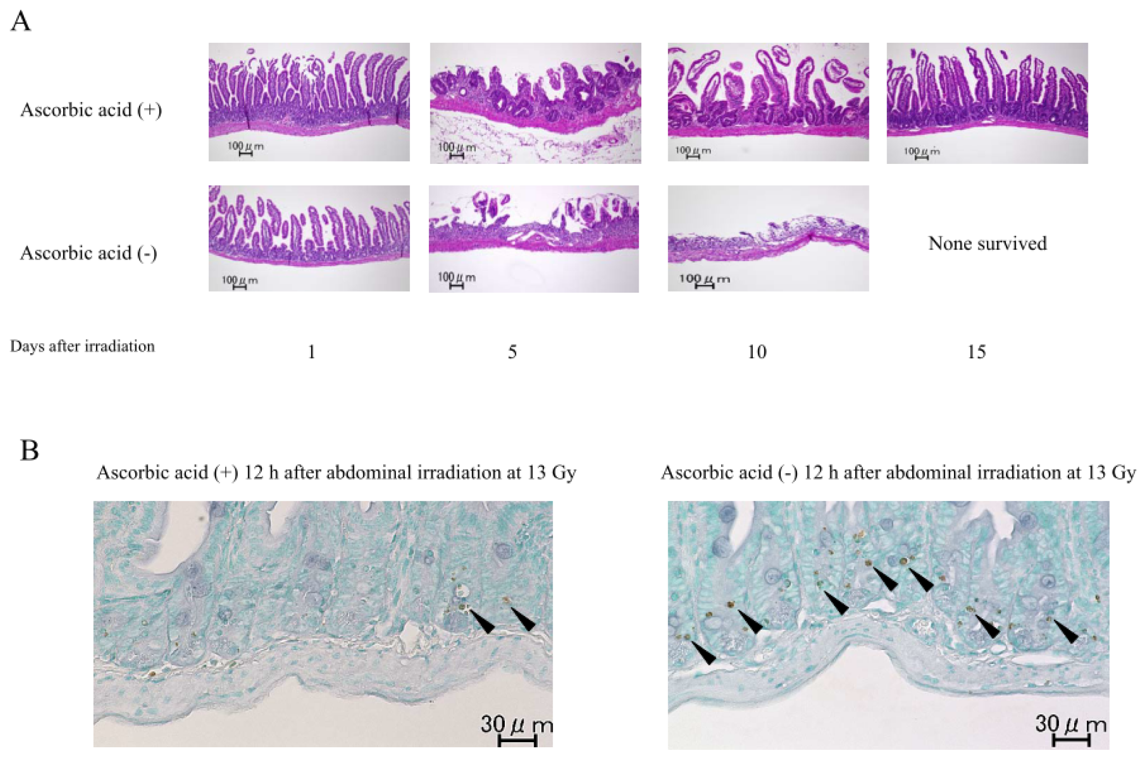 Ijms 14 19618f6