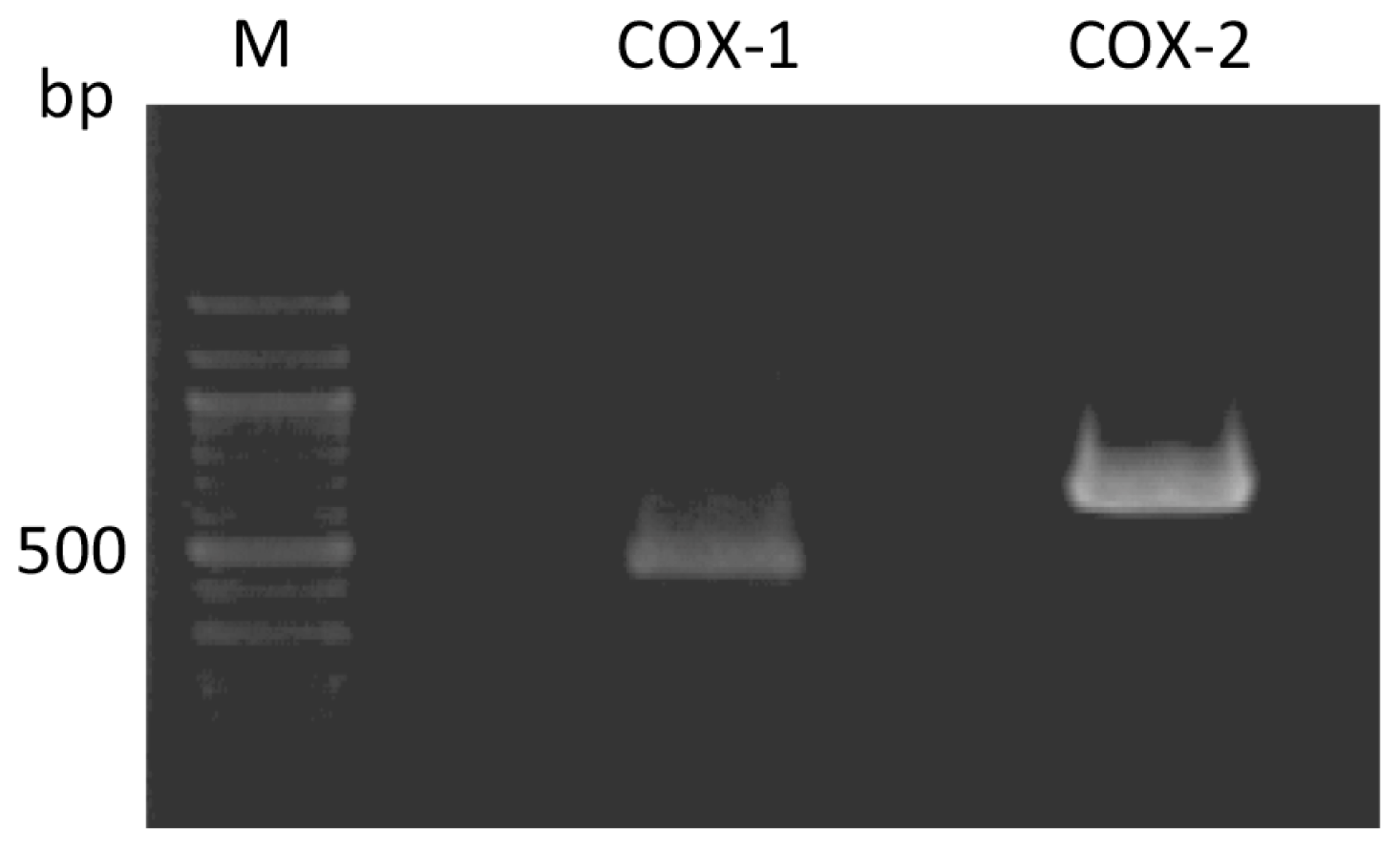 Ijms 14 19705f1 1024