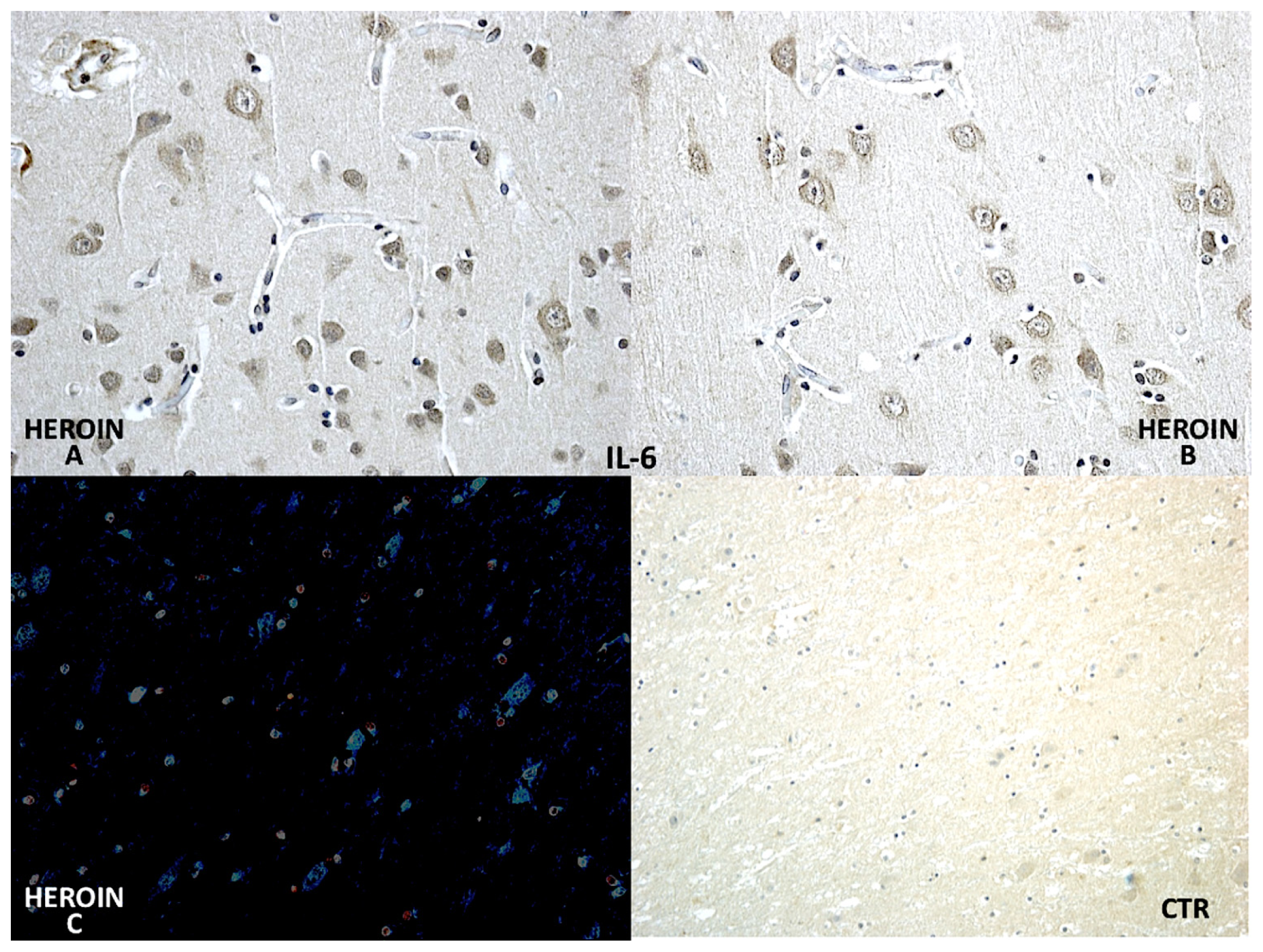 Ijms 14 19831f2 1024