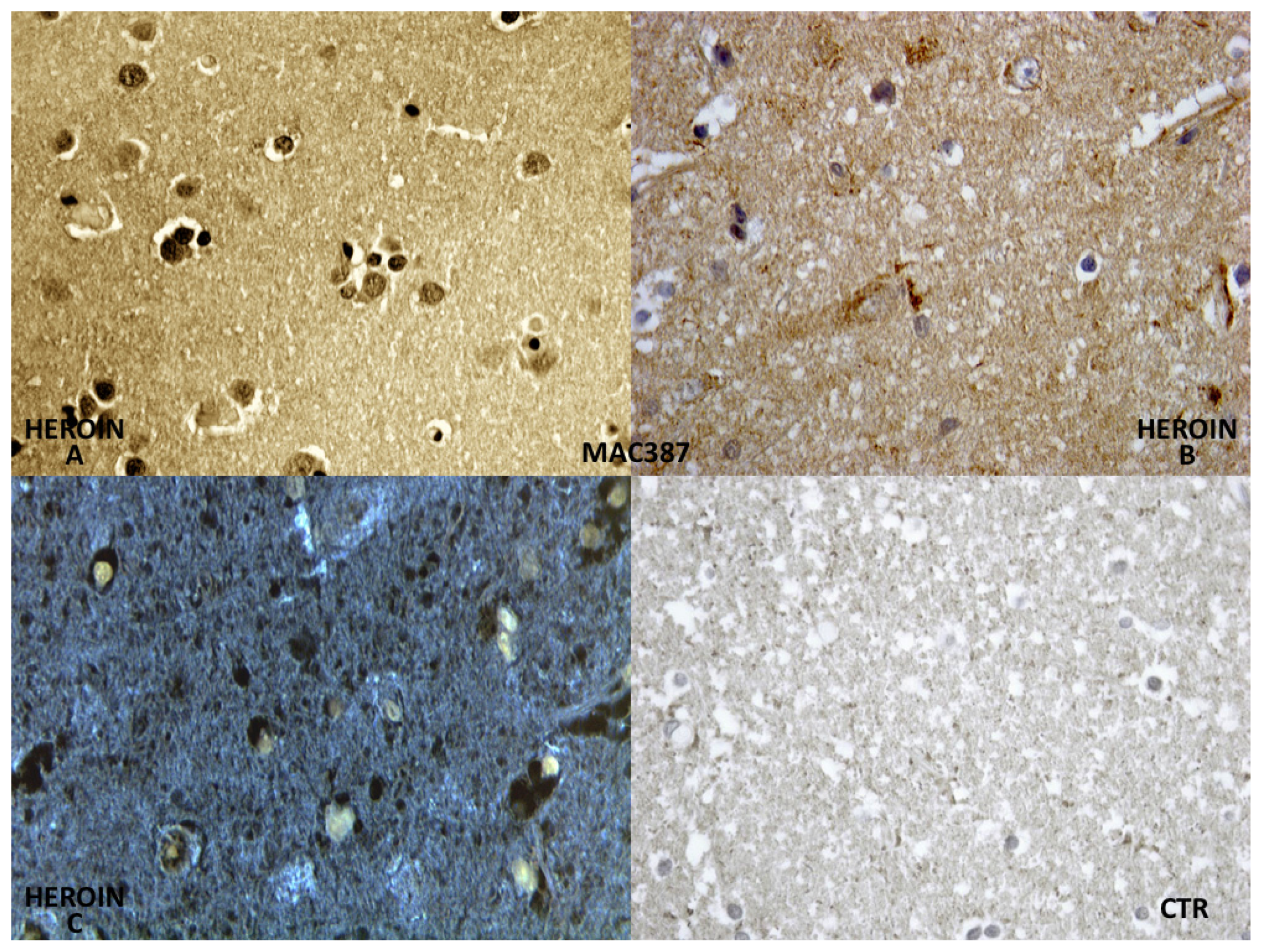 Ijms 14 19831f4 1024