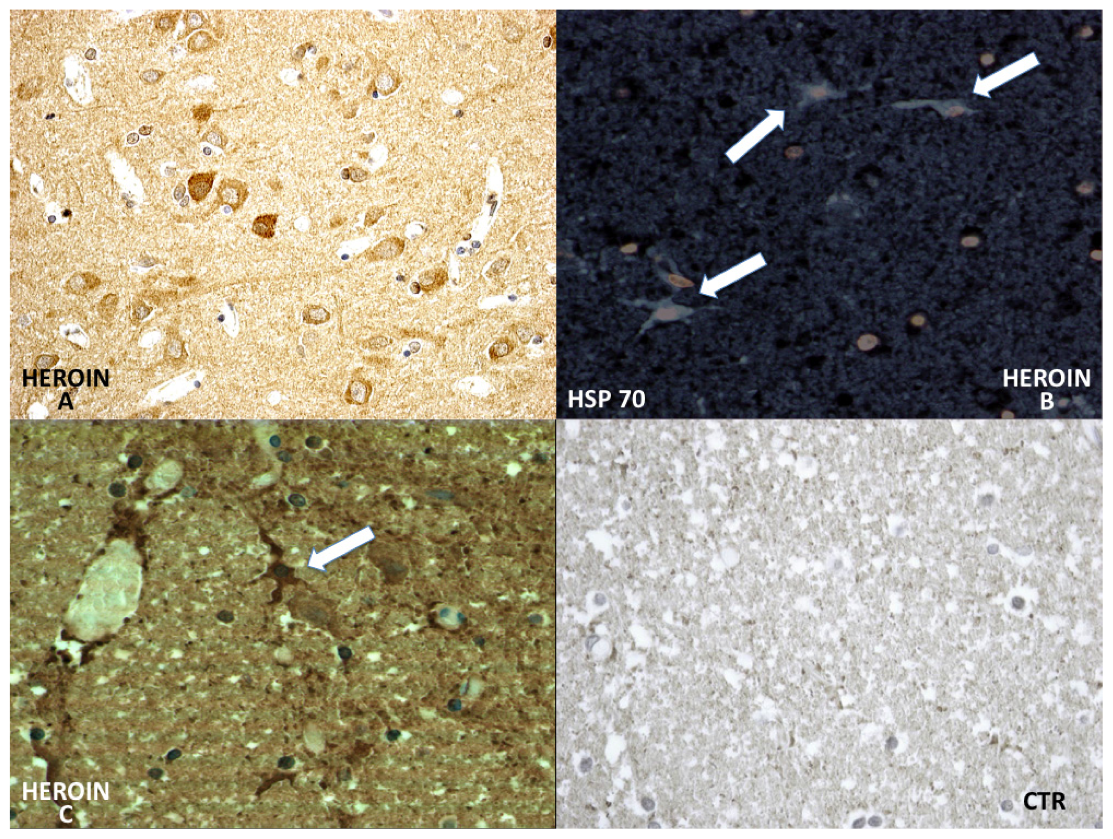 Ijms 14 19831f6 1024