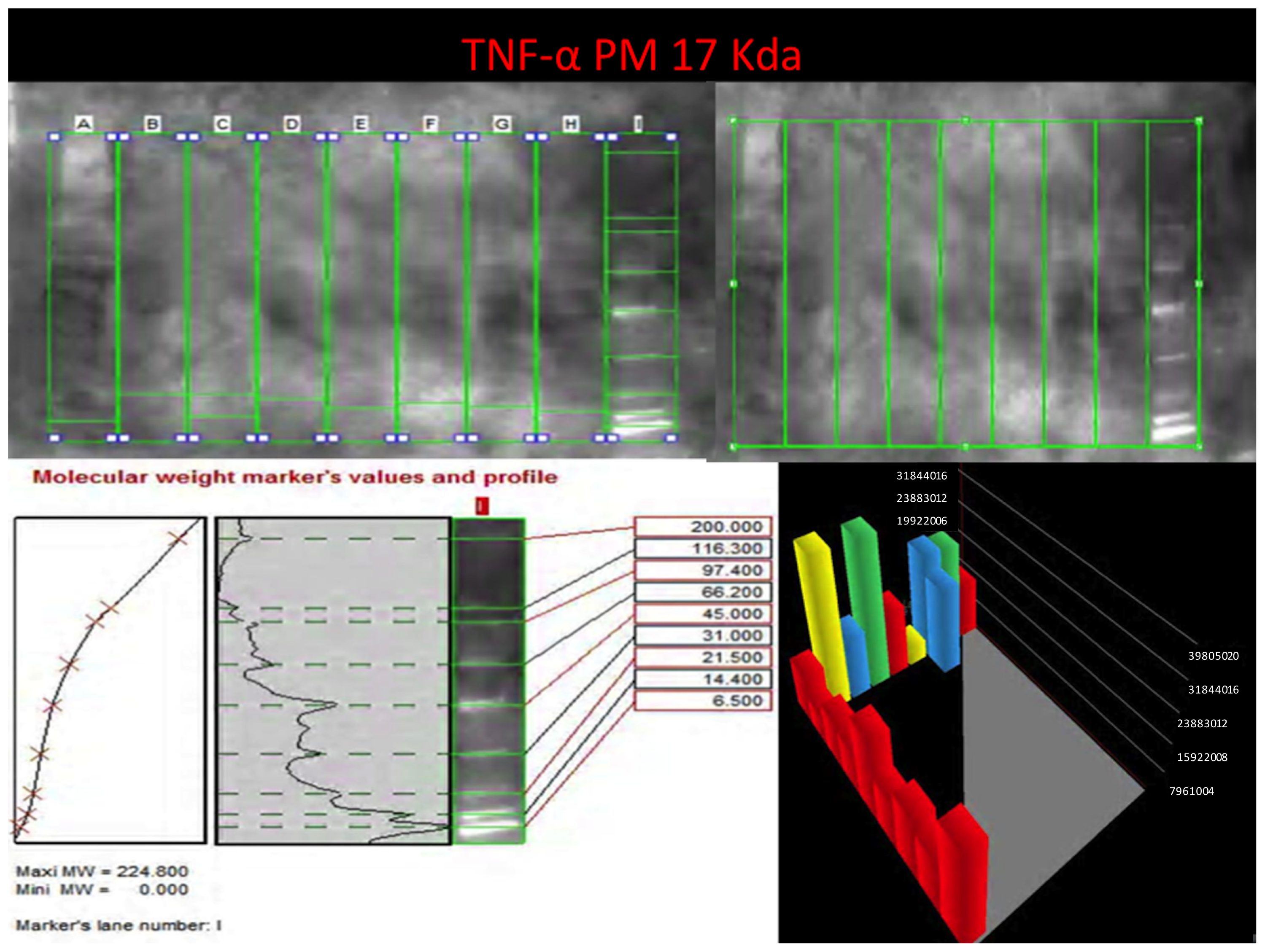 Ijms 14 19831f8 1024