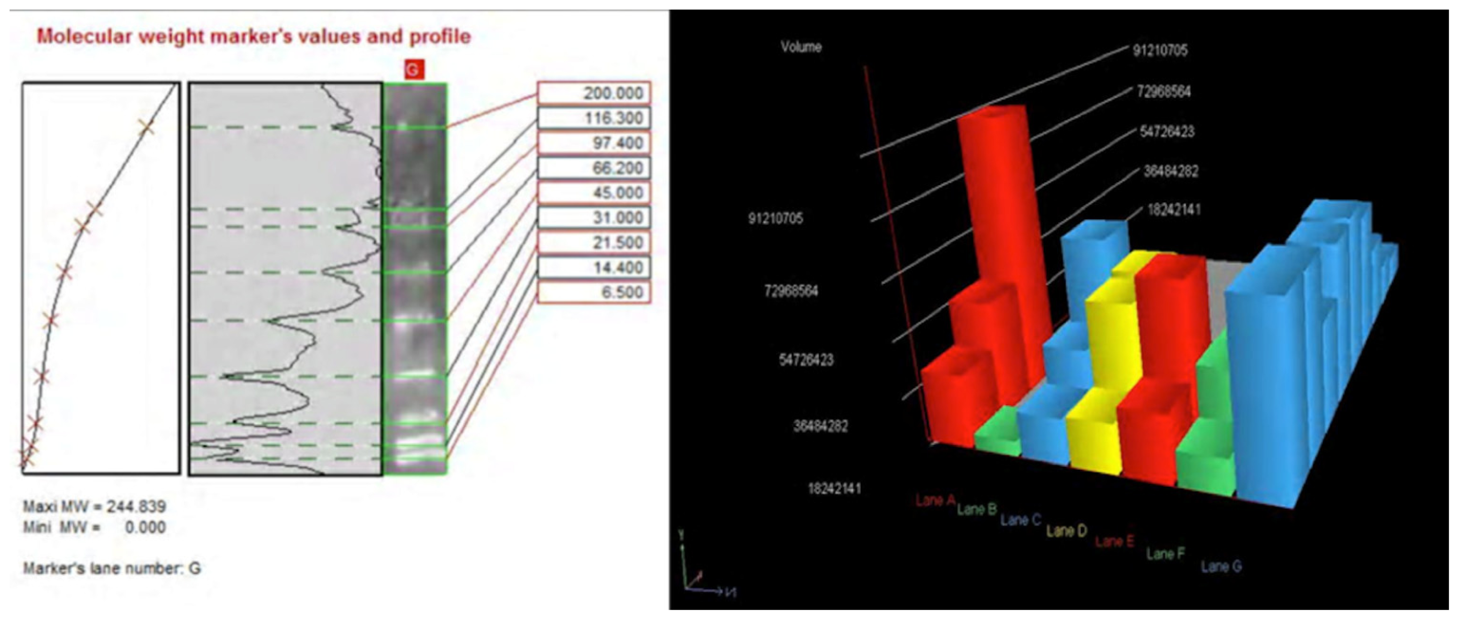 Ijms 14 19831f9b 1024