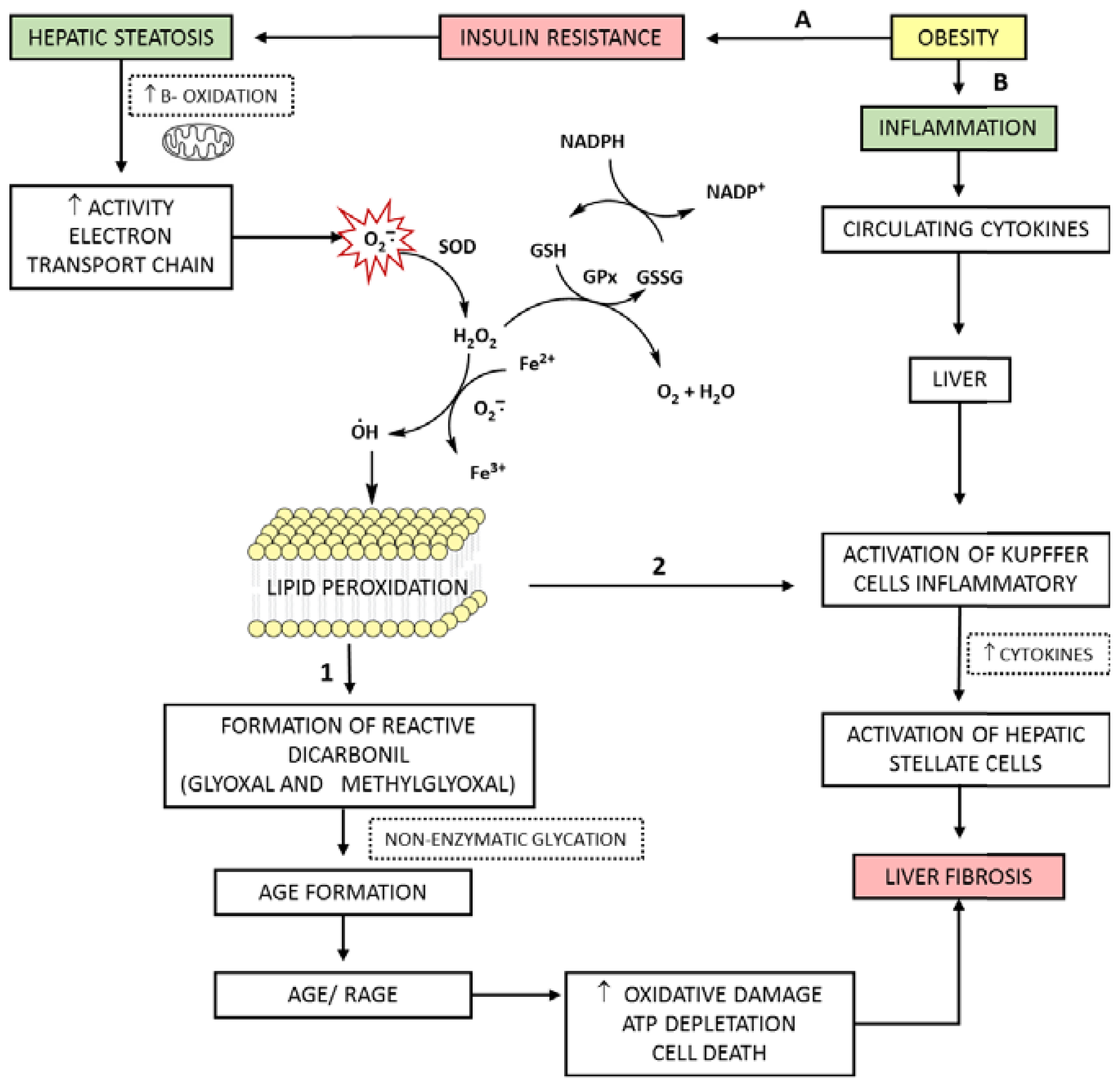 Ijms 14 19846f7 1024