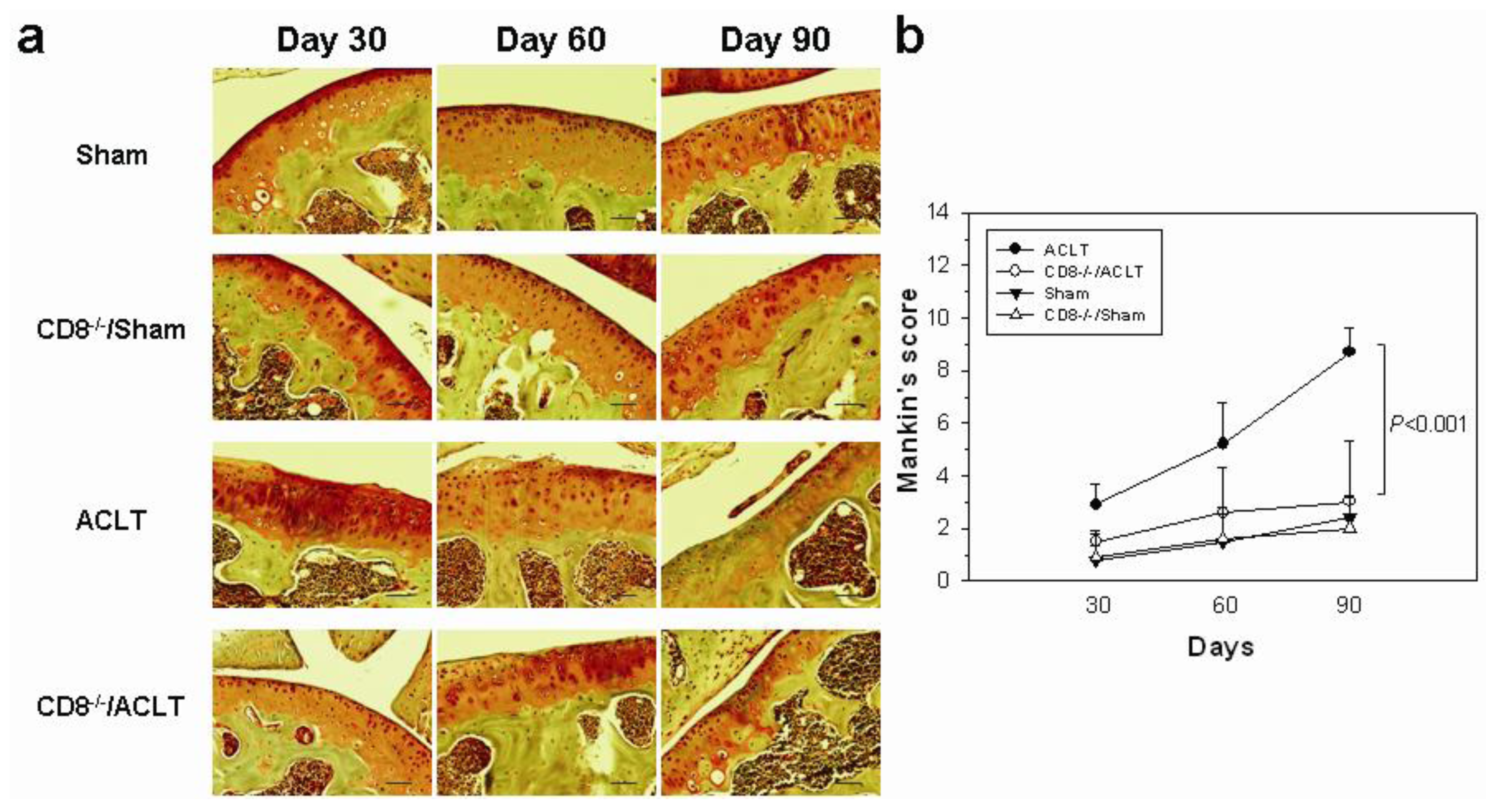 Ijms 14 19951f1a 1024