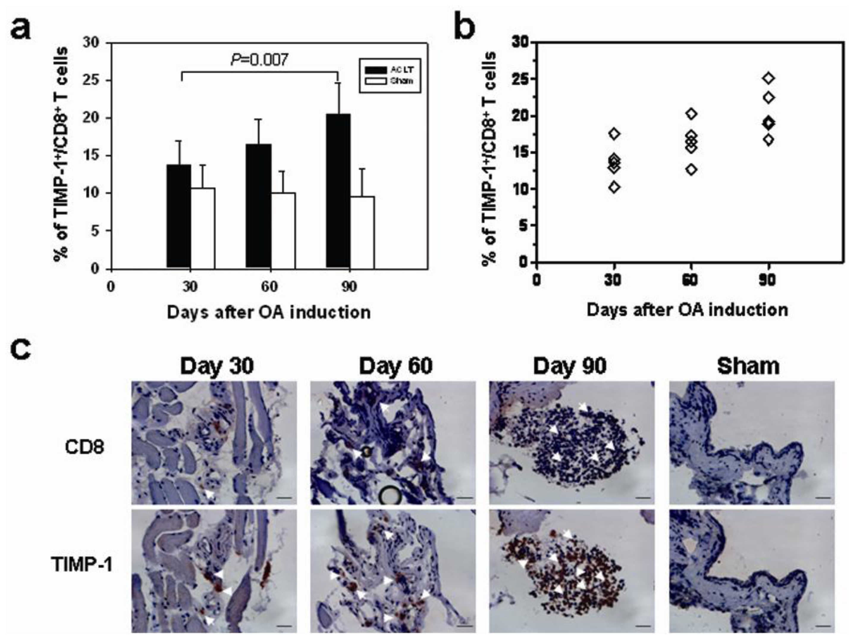 Ijms 14 19951f5 1024