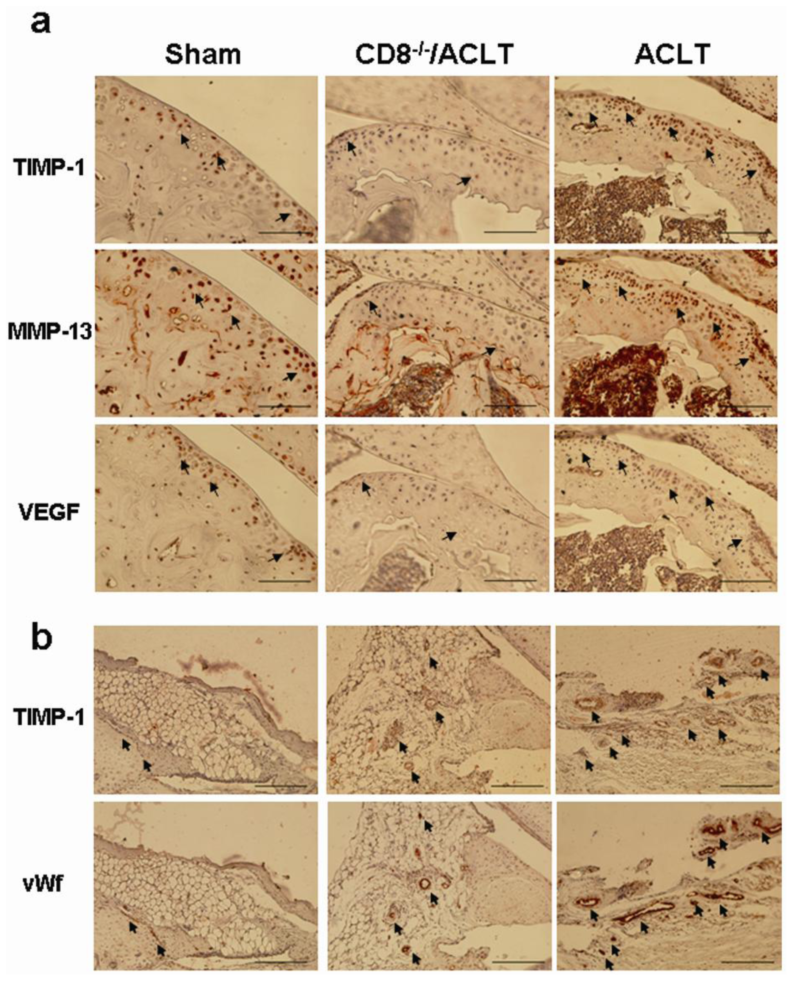 Ijms 14 19951f6 1024