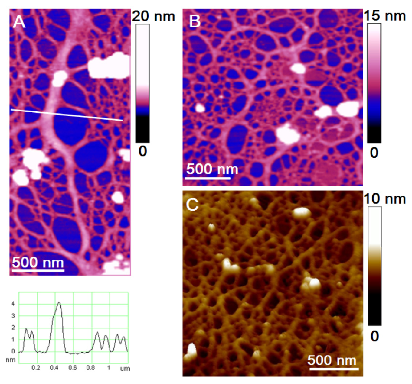 Ijms 14 20064f3 1024