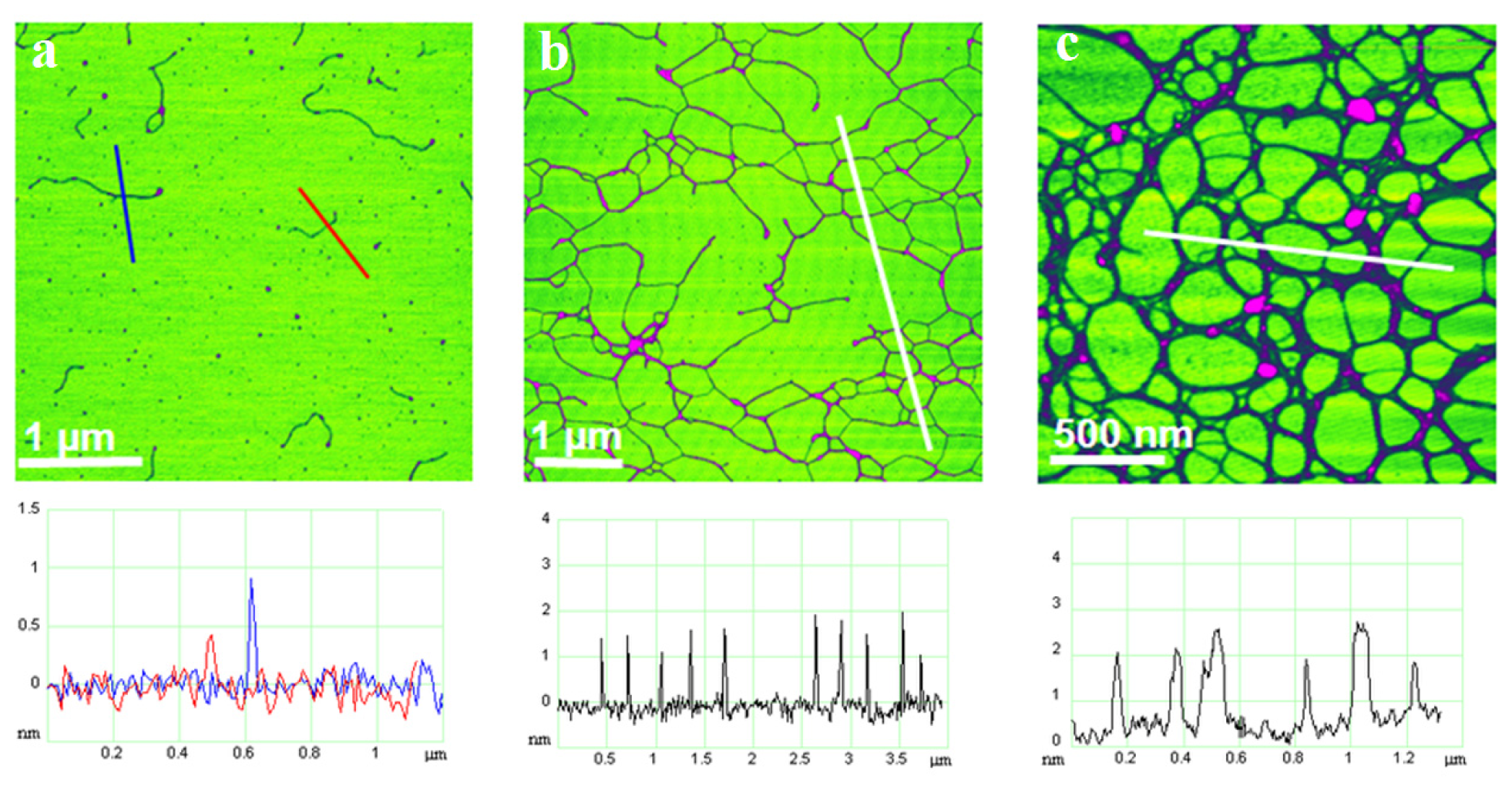 Ijms 14 20064f4 1024