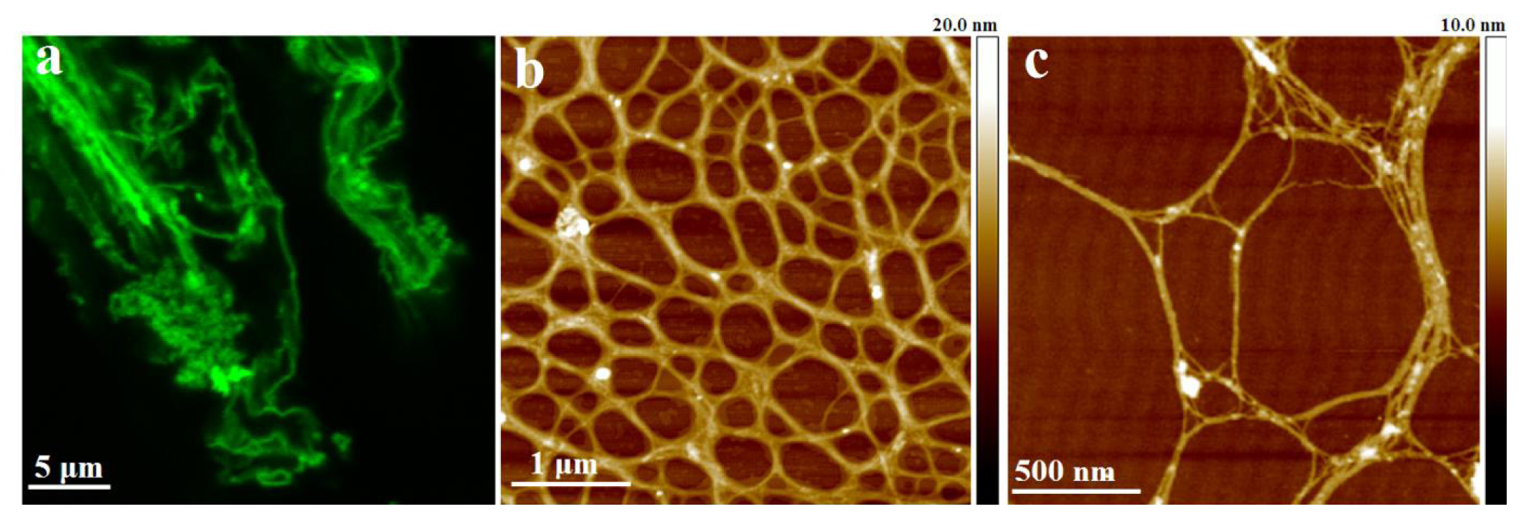 Ijms 14 20064f5 1024