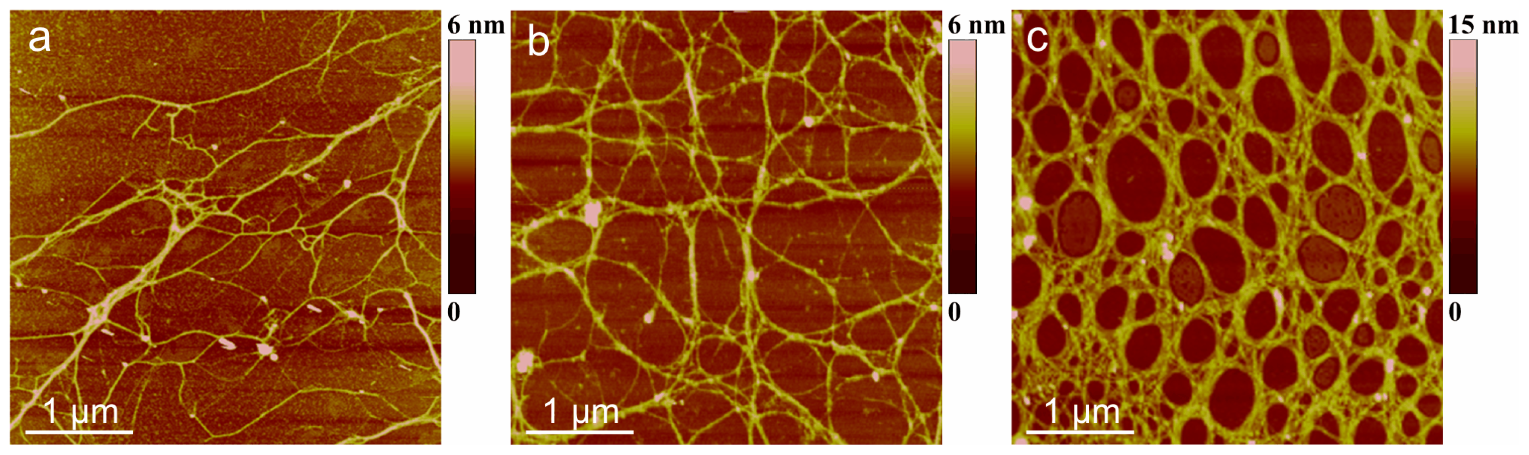 Ijms 14 20064f7 1024