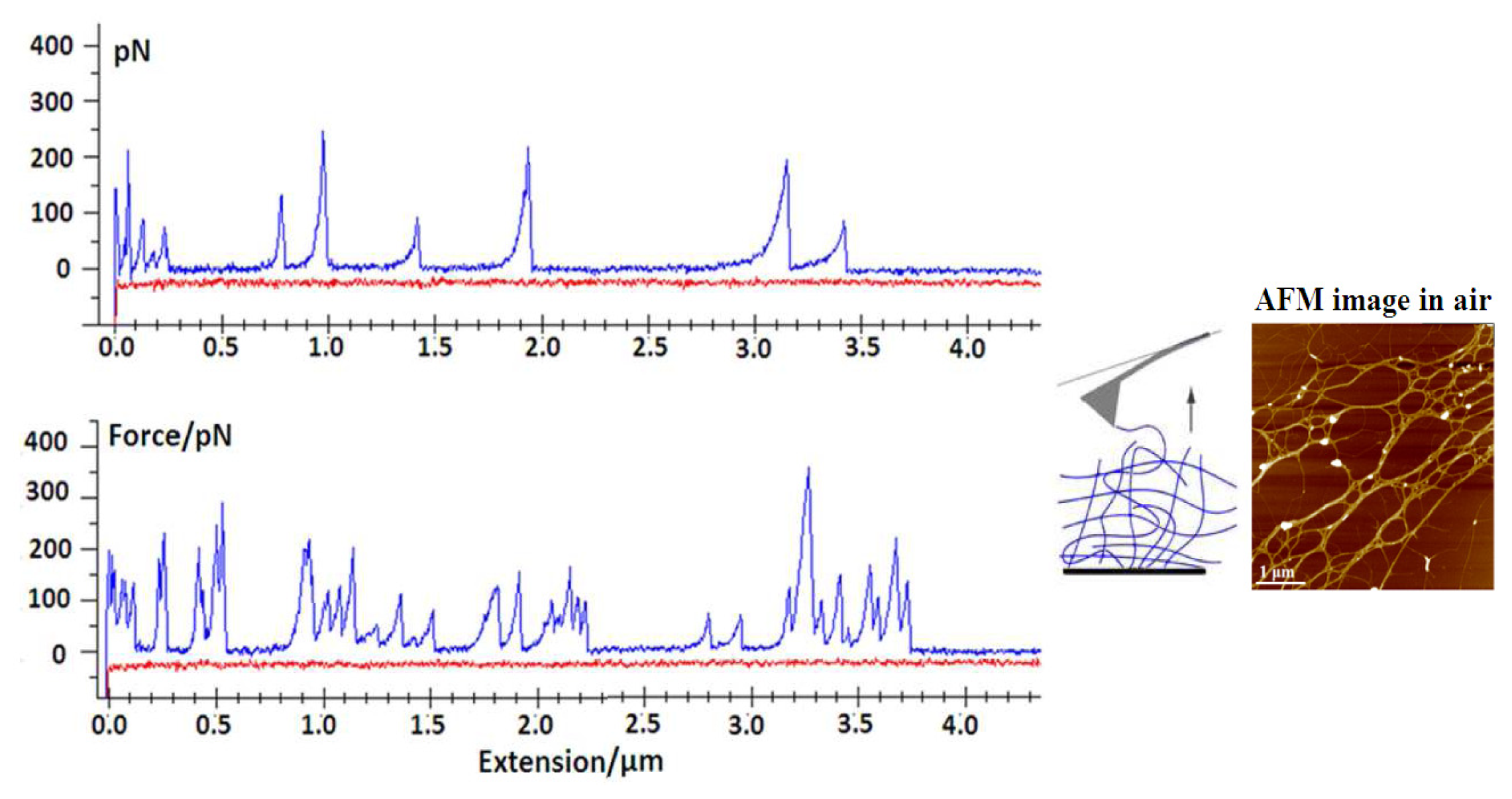 Ijms 14 20064f9 1024