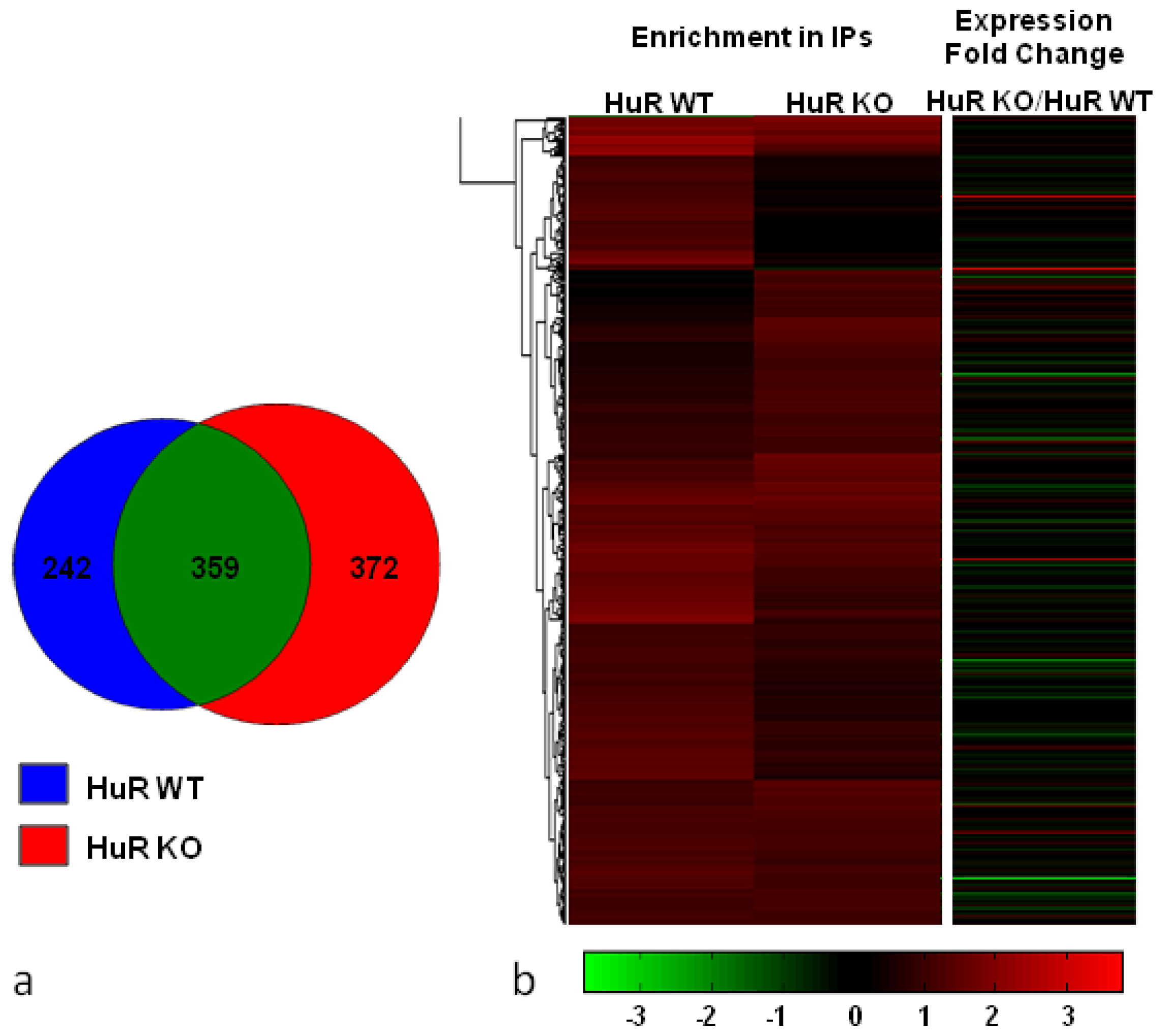Ijms 14 20256f2 1024
