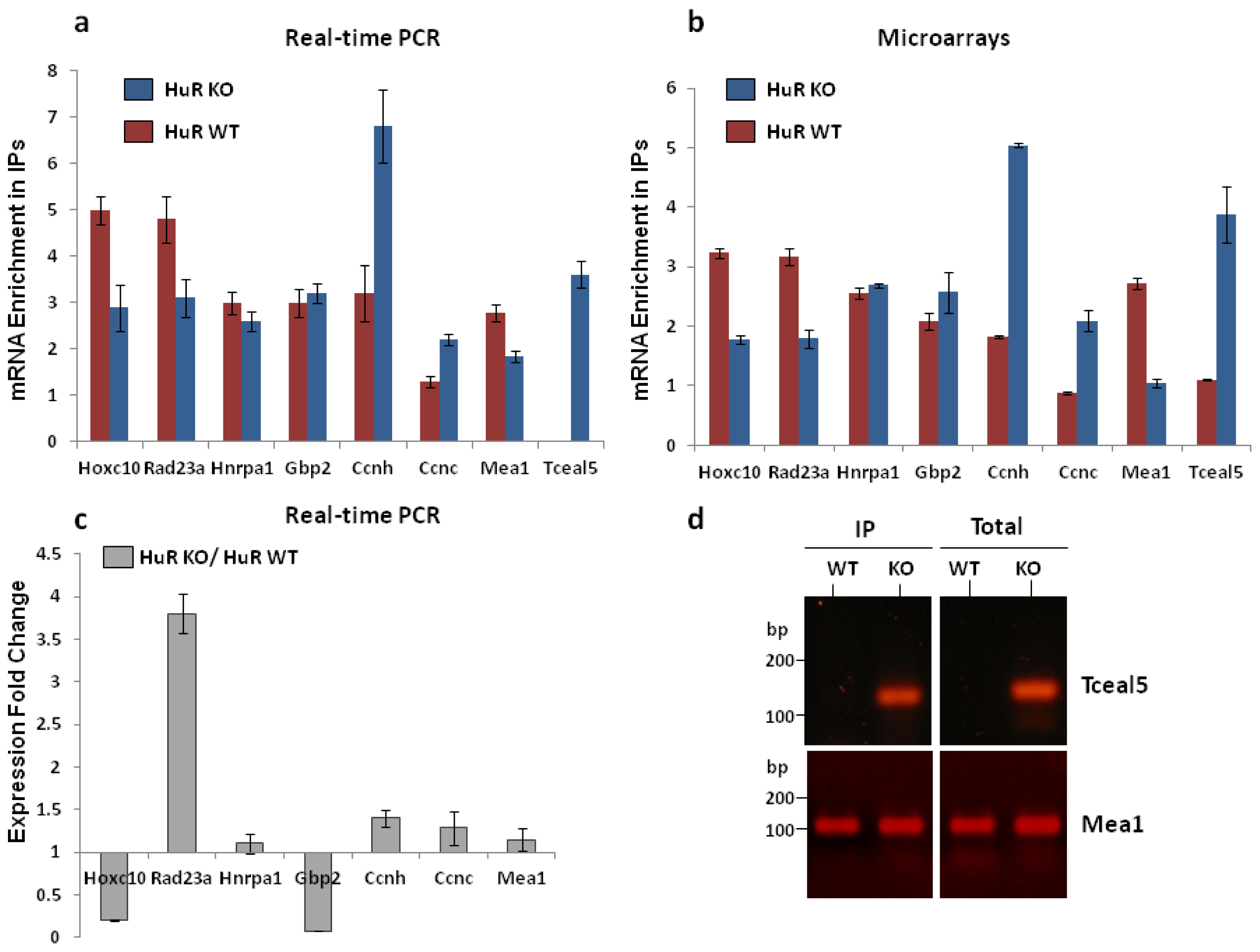 Ijms 14 20256f3 1024