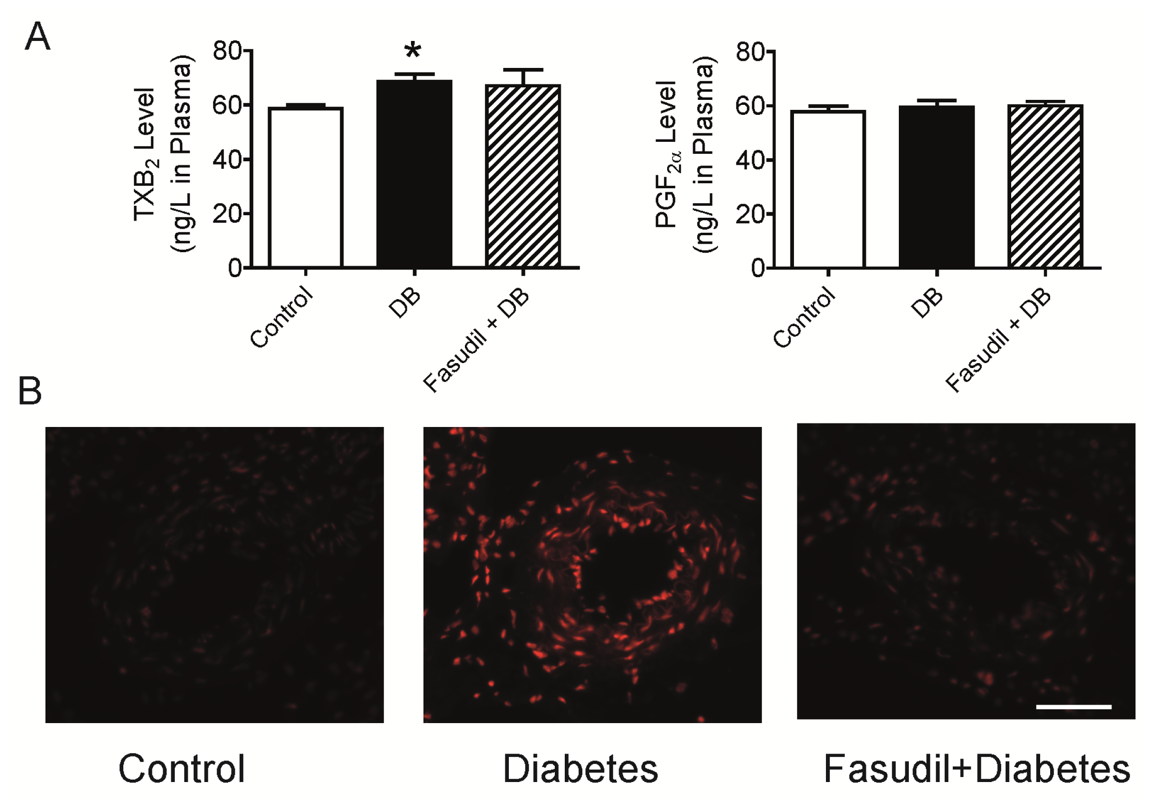Ijms 14 20282f3a 1024