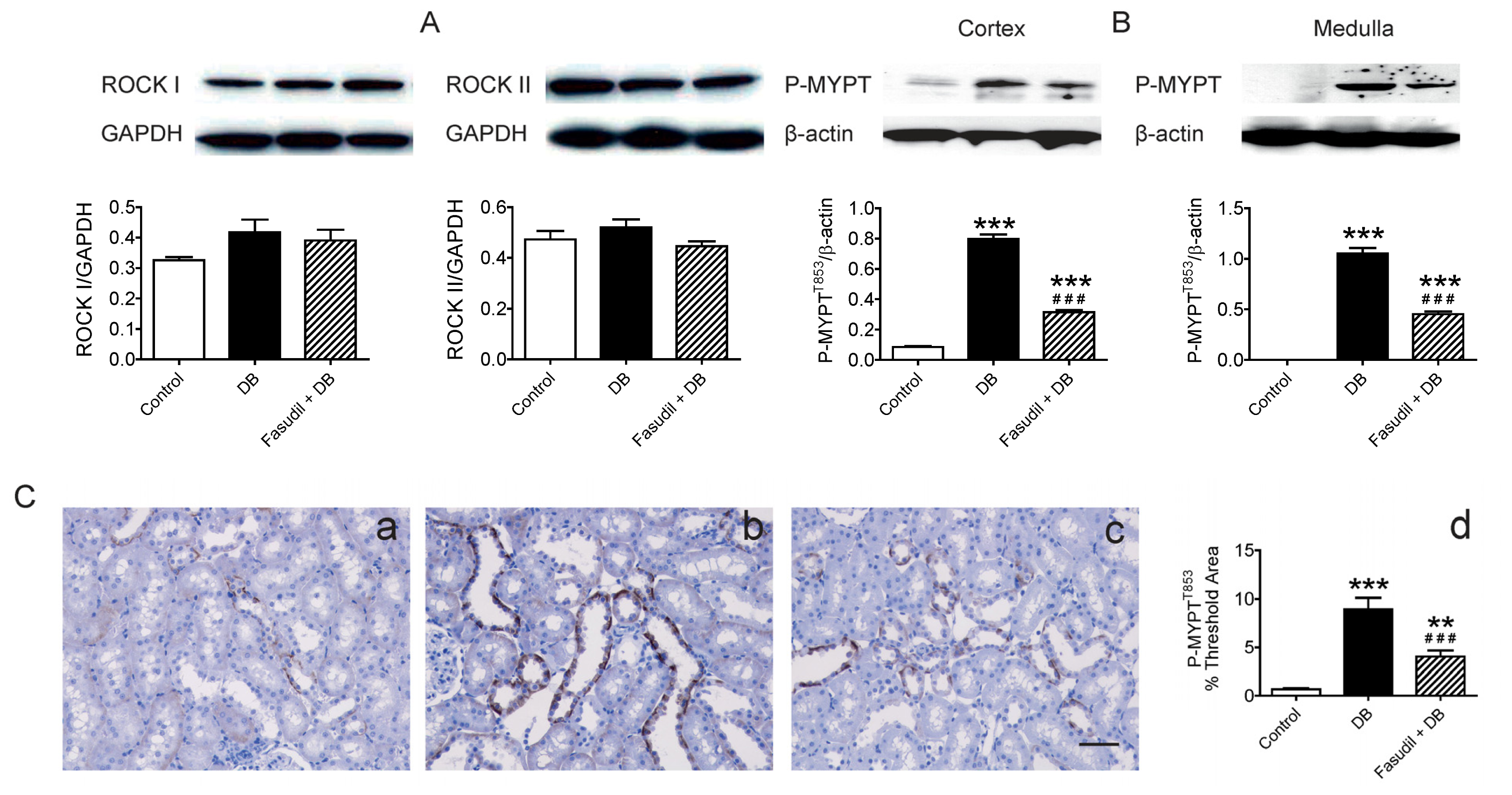 Ijms 14 20282f5 1024