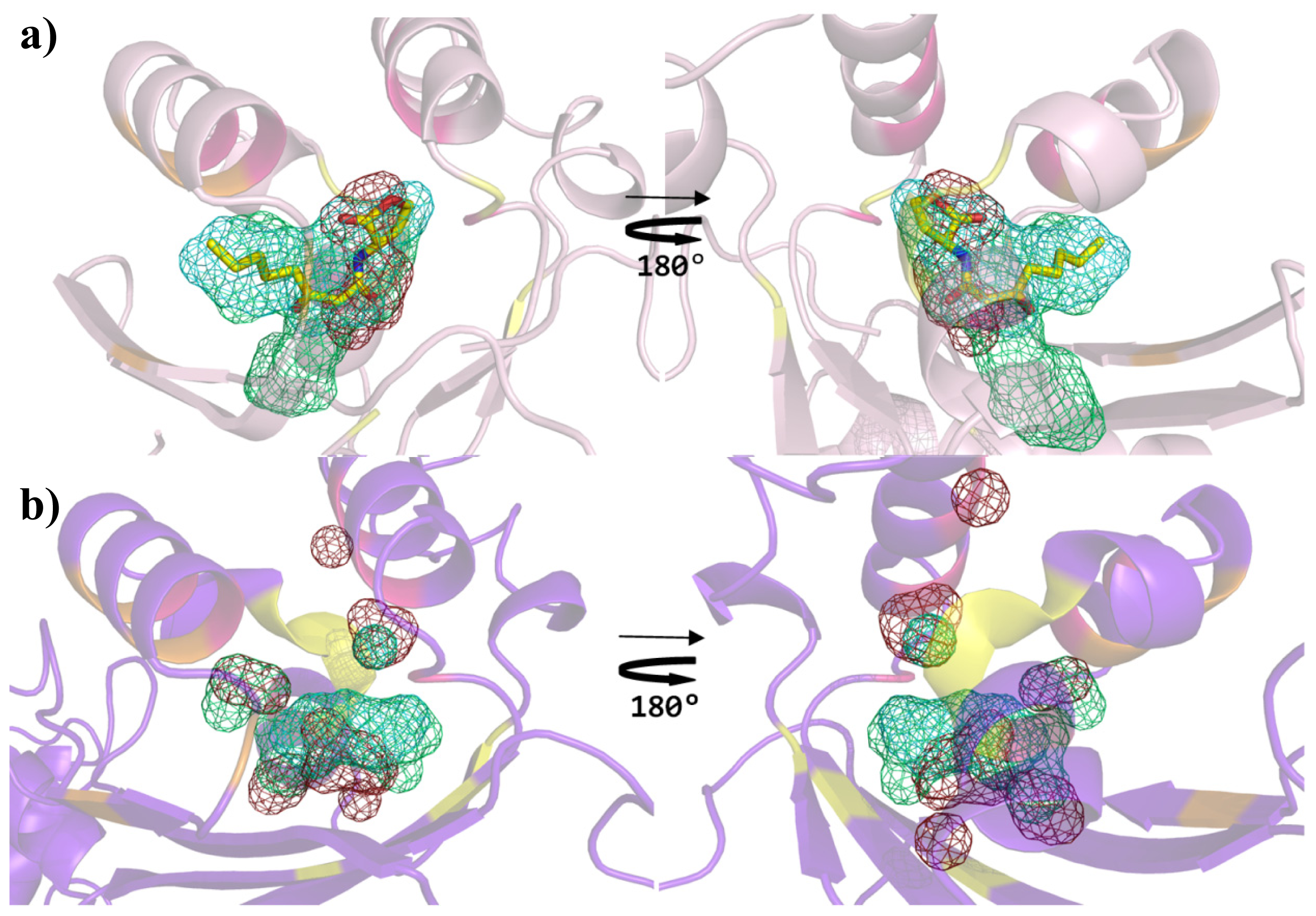 Ijms 14 20578f8 1024