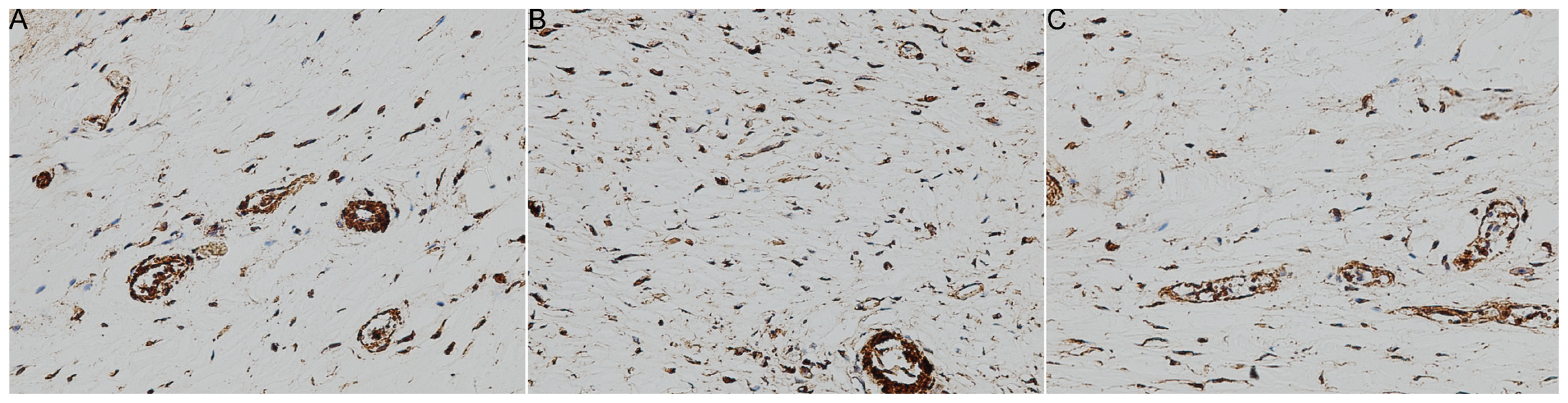 Ijms 14 20833f3 1024