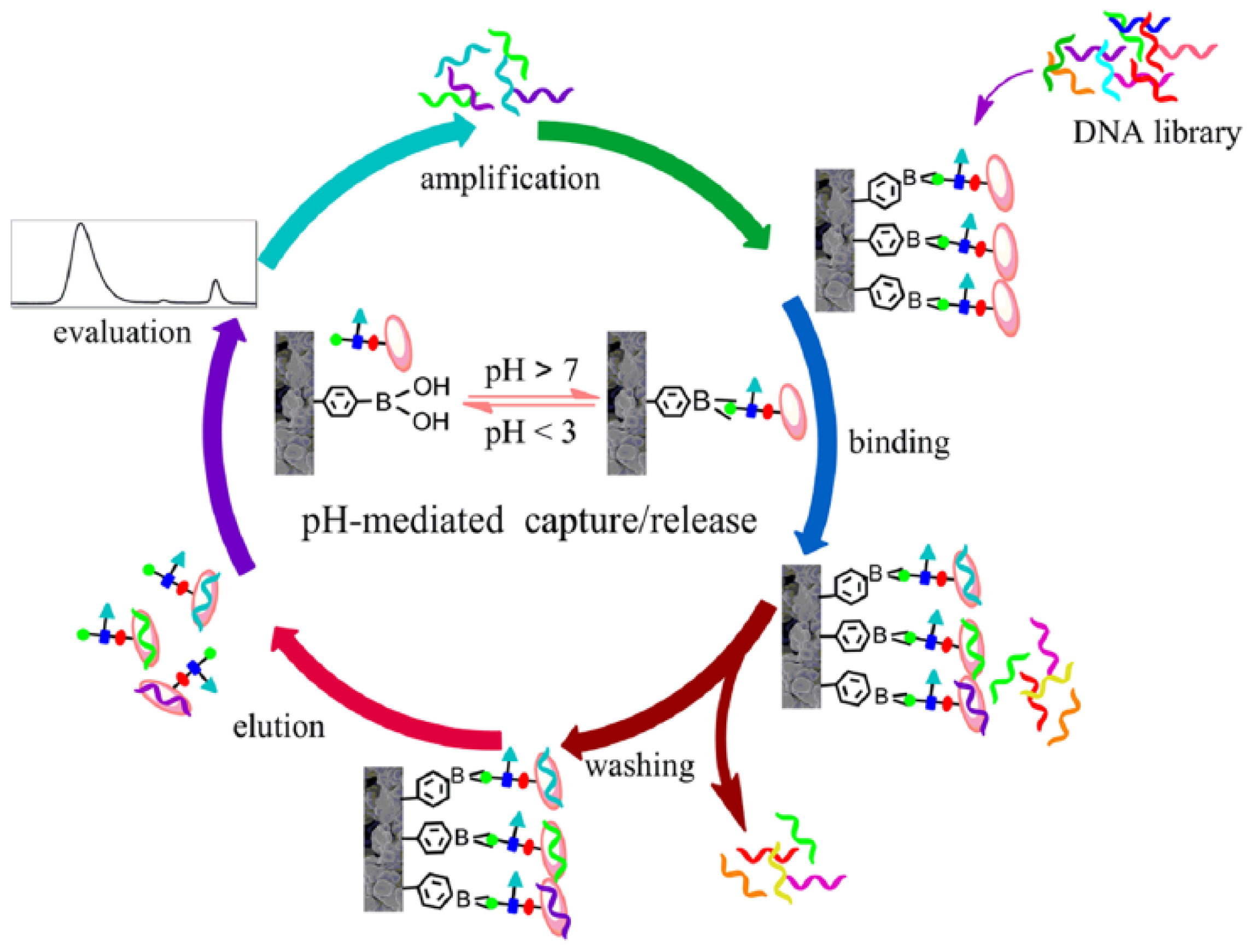 Ijms 14 20890f5 1024