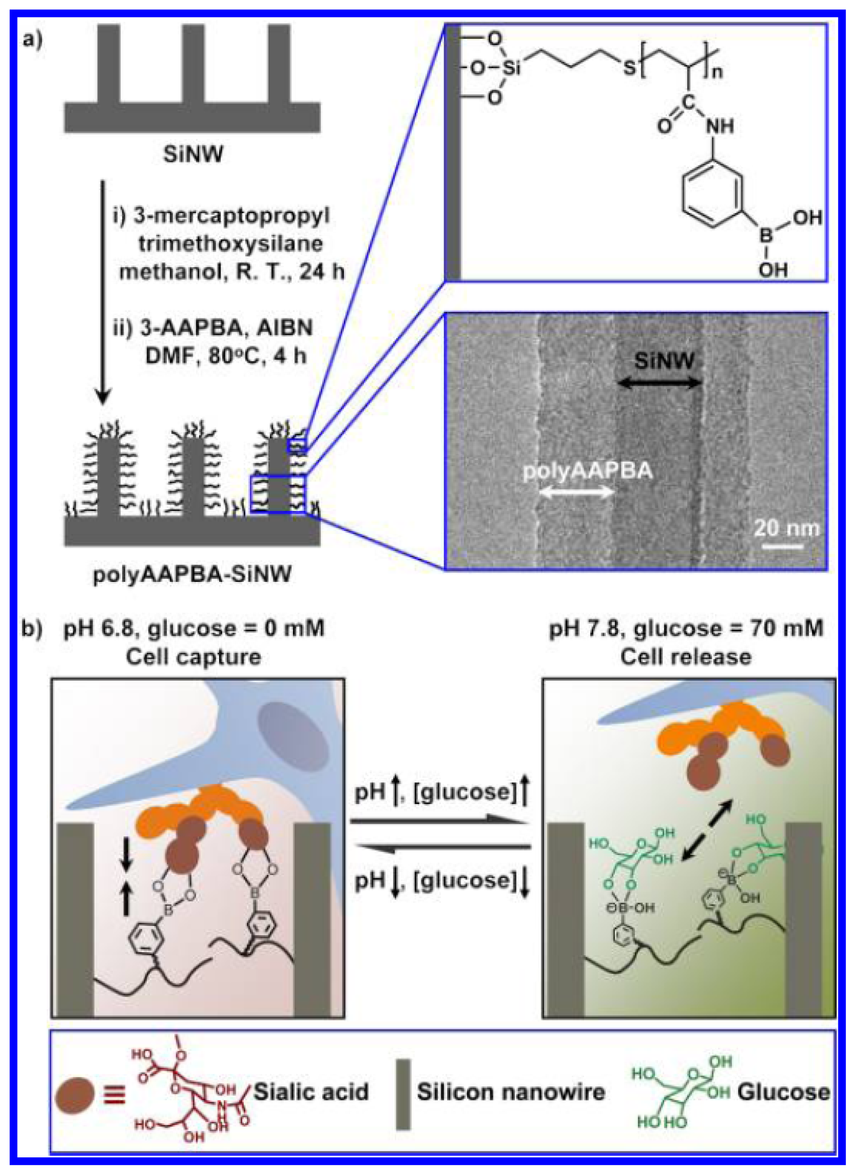 Ijms 14 20890f7 1024