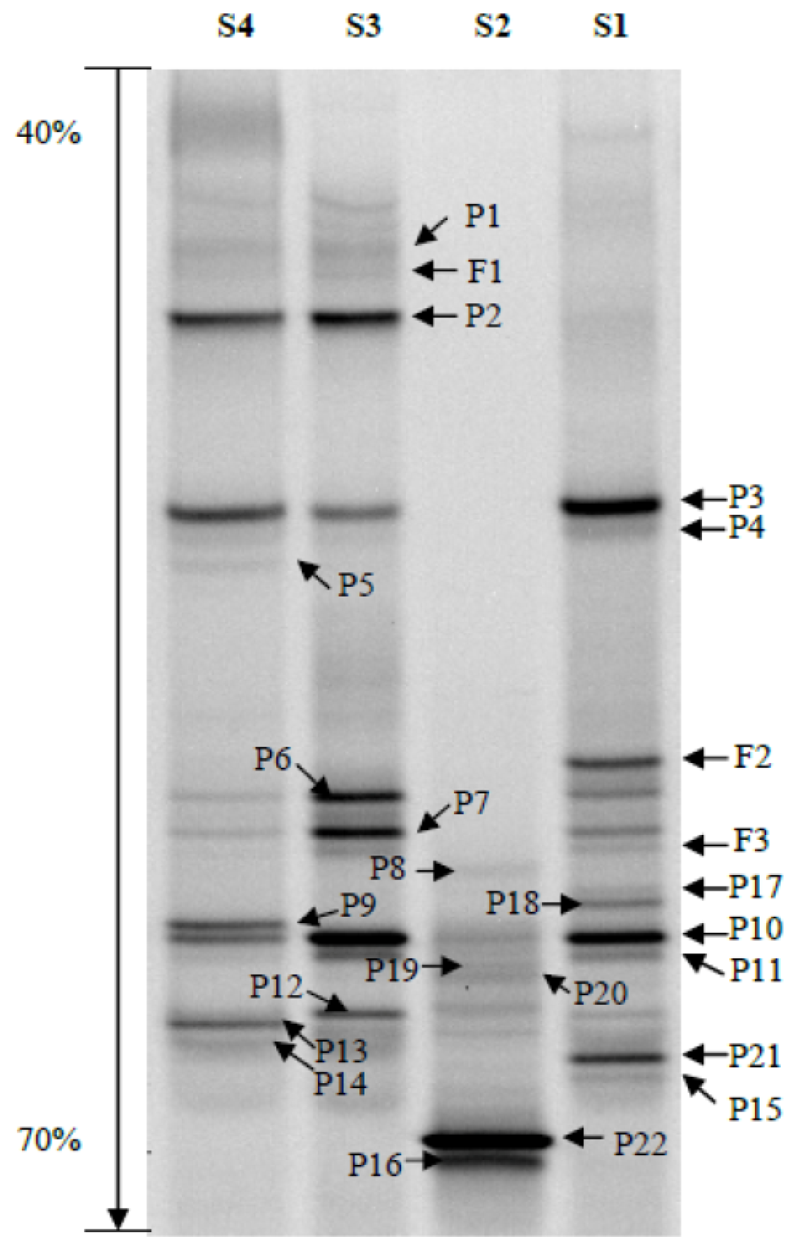 Ijms 14 21006f1 1024