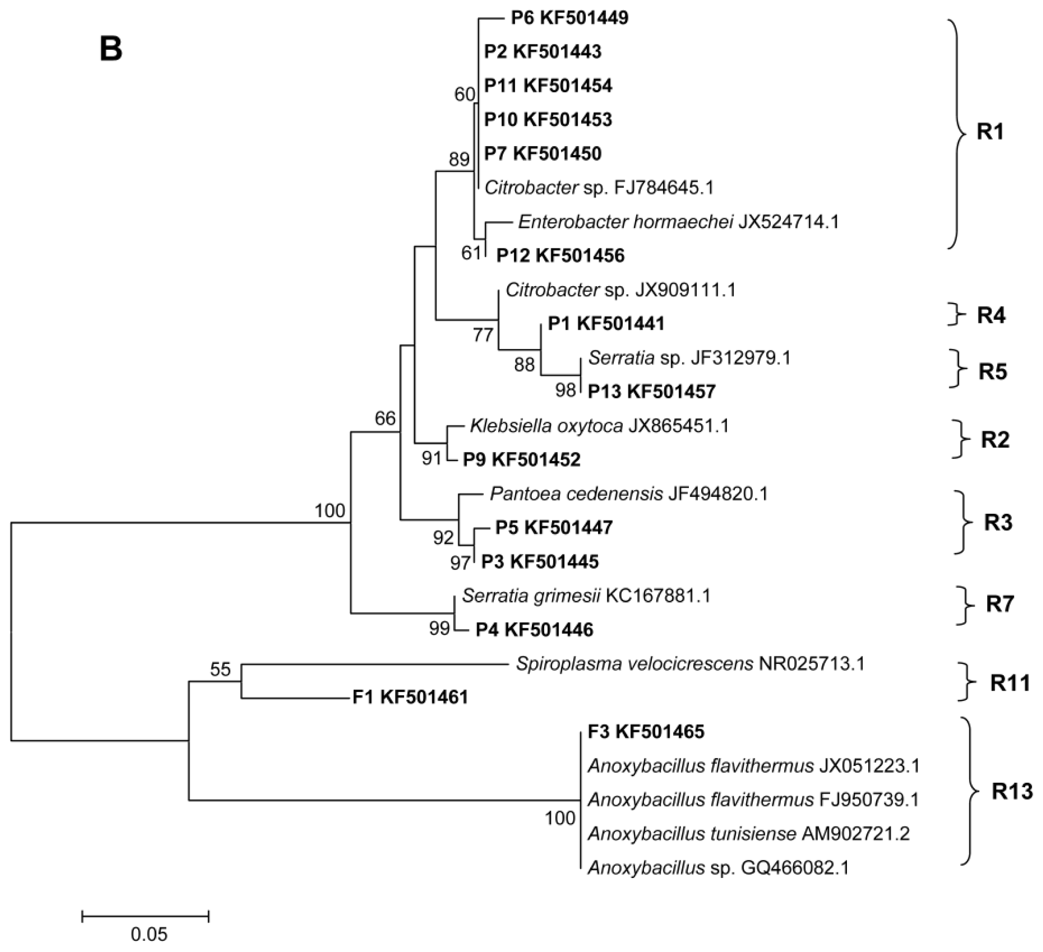 Ijms 14 21006f2b 1024